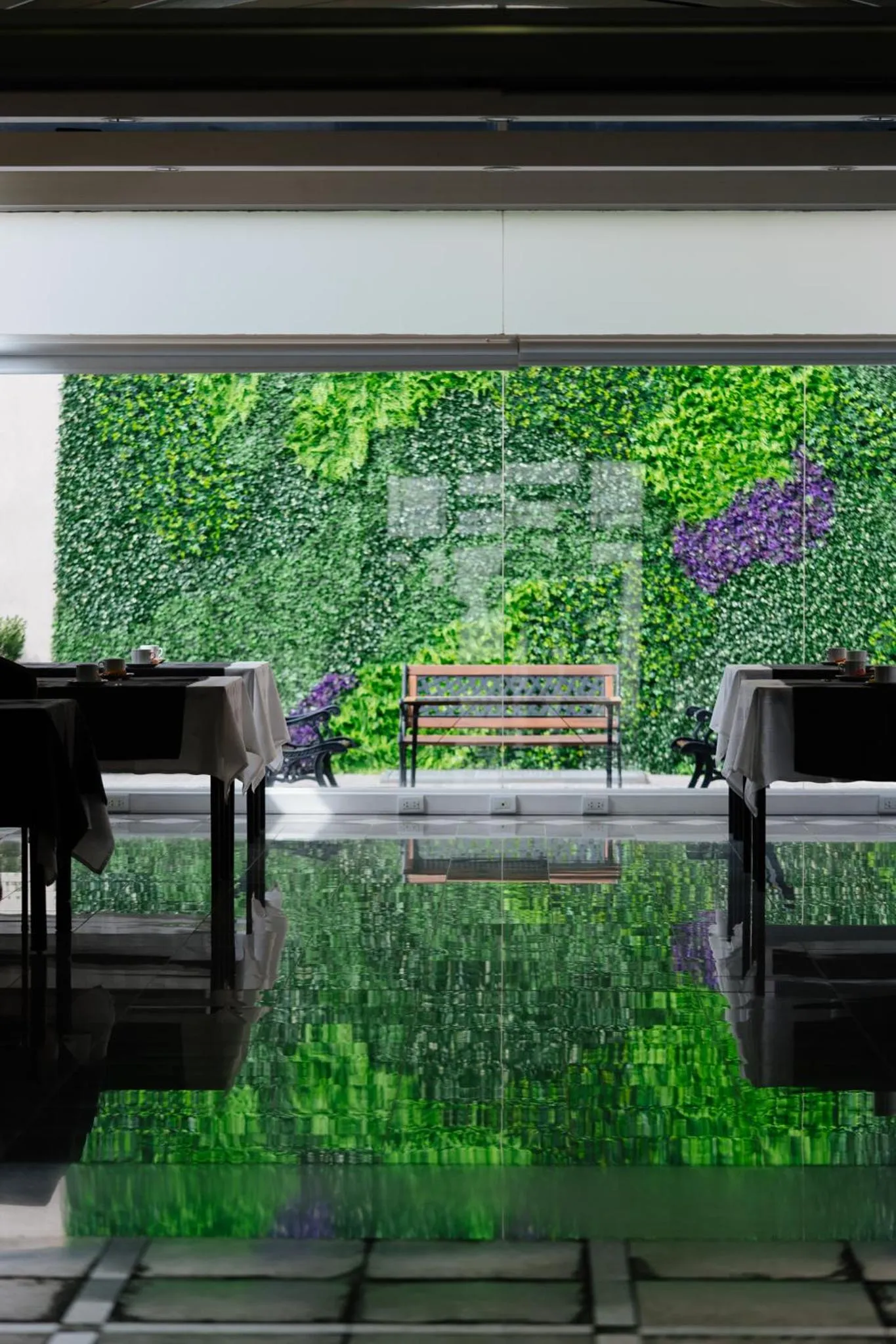 Patio in San Nicolas Plaza