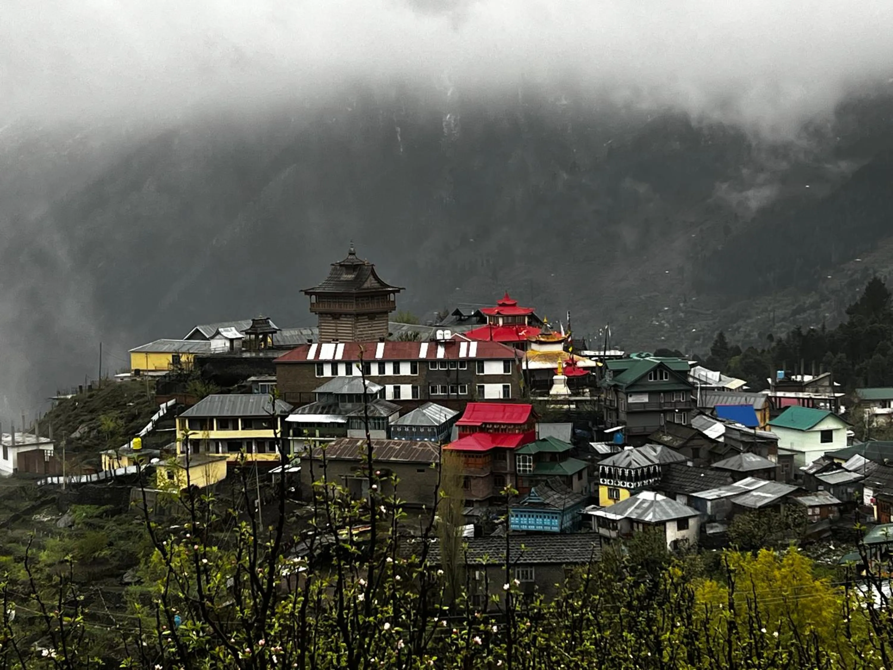 Natural landscape in Hotel Kalpa Deshang