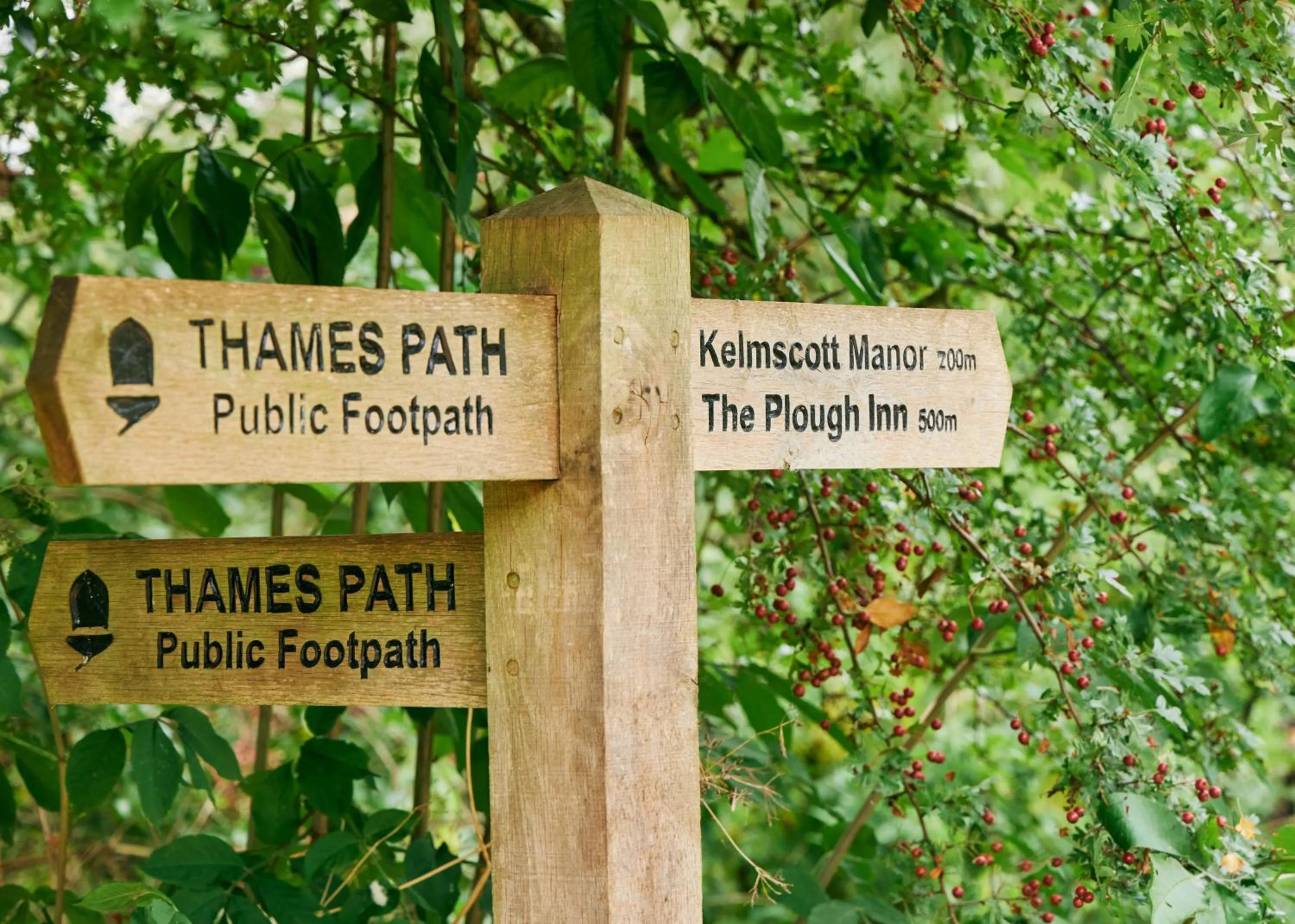 Area and facilities in The Plough Inn