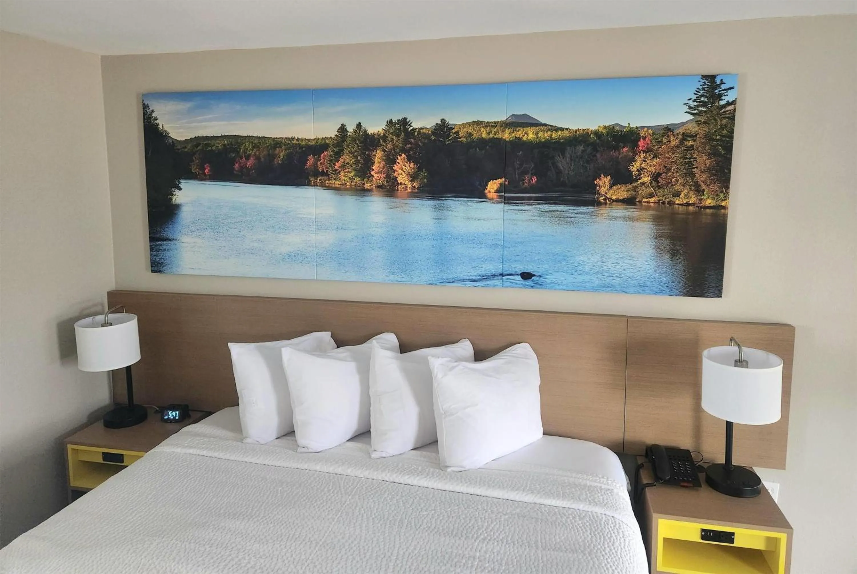 Photo of the whole room in EconomyLodge