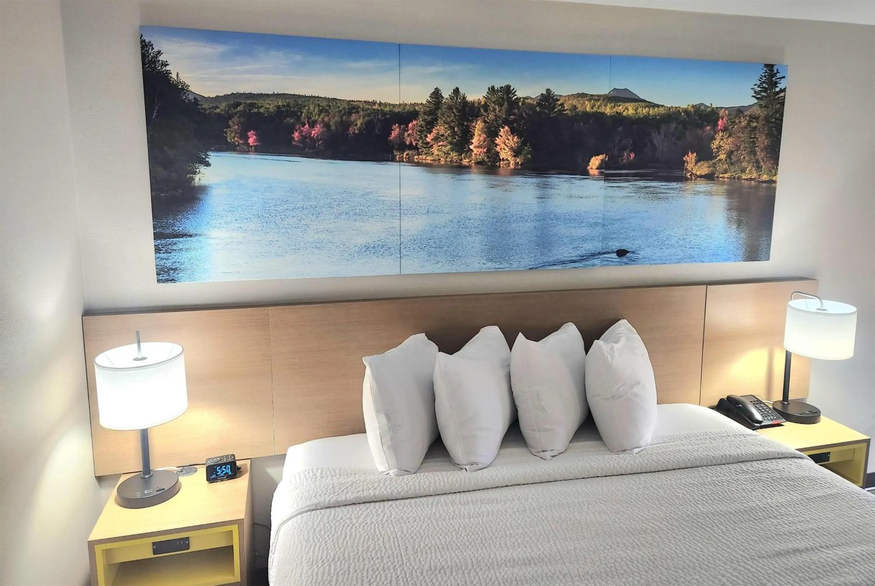 Photo of the whole room in EconomyLodge