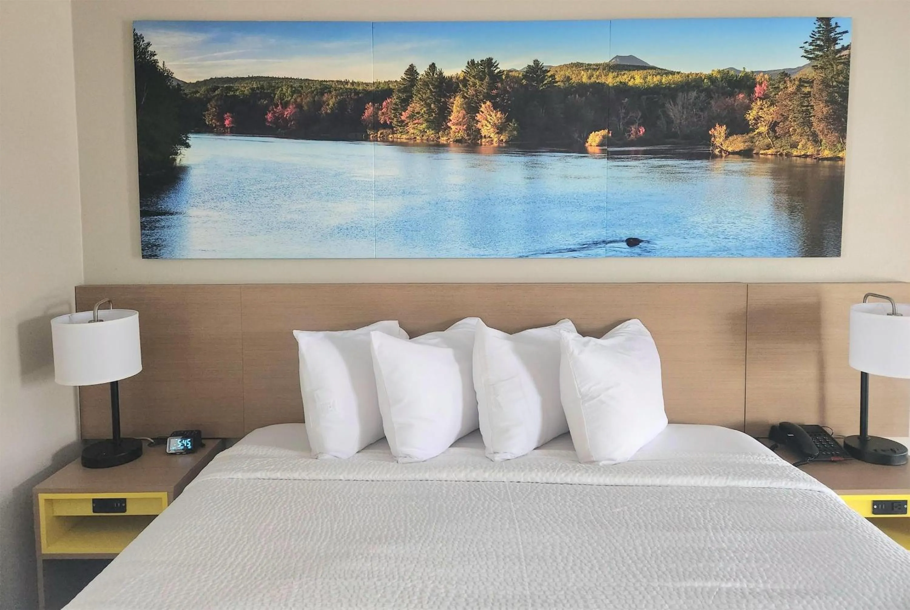 Photo of the whole room in EconomyLodge