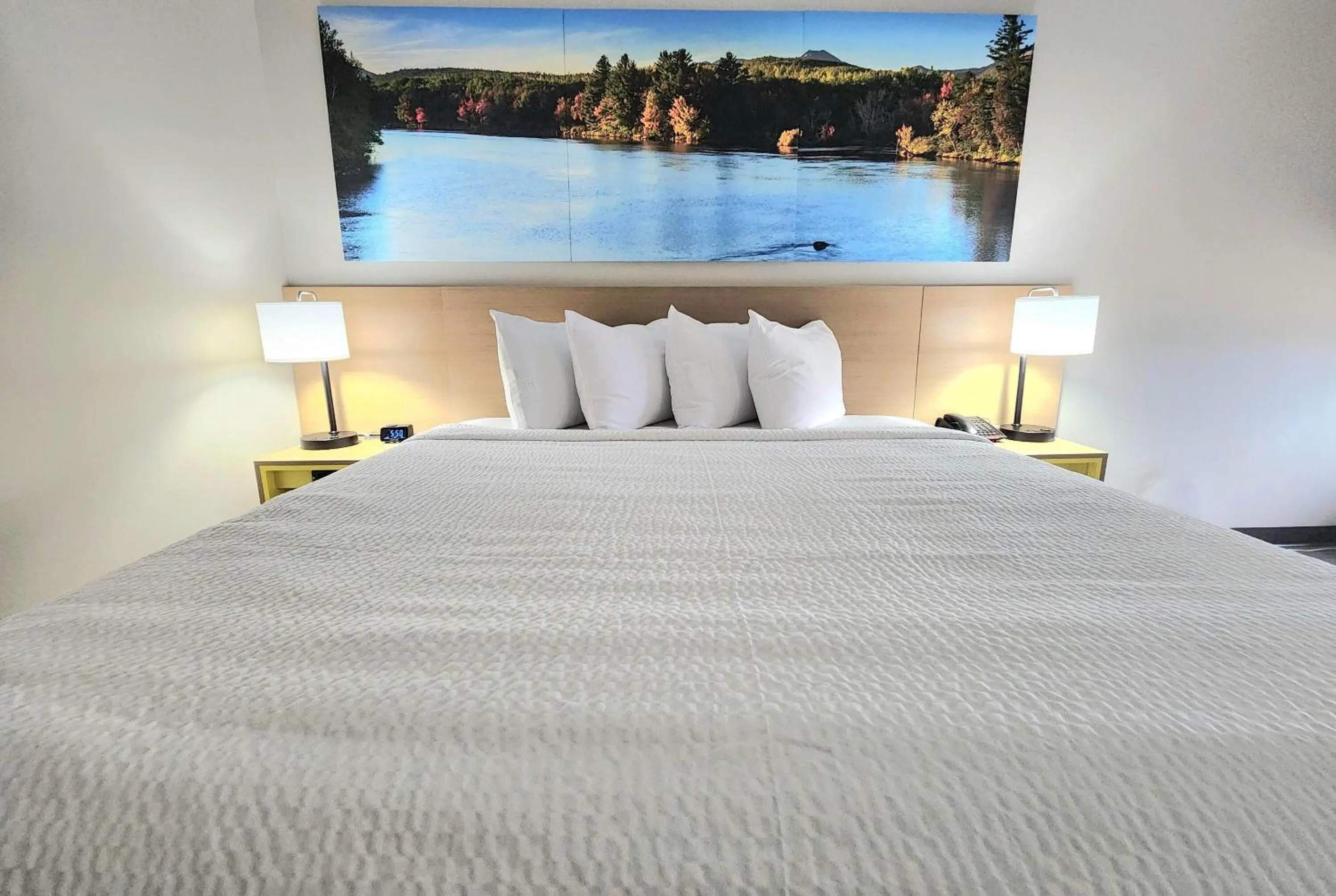 Photo of the whole room in EconomyLodge