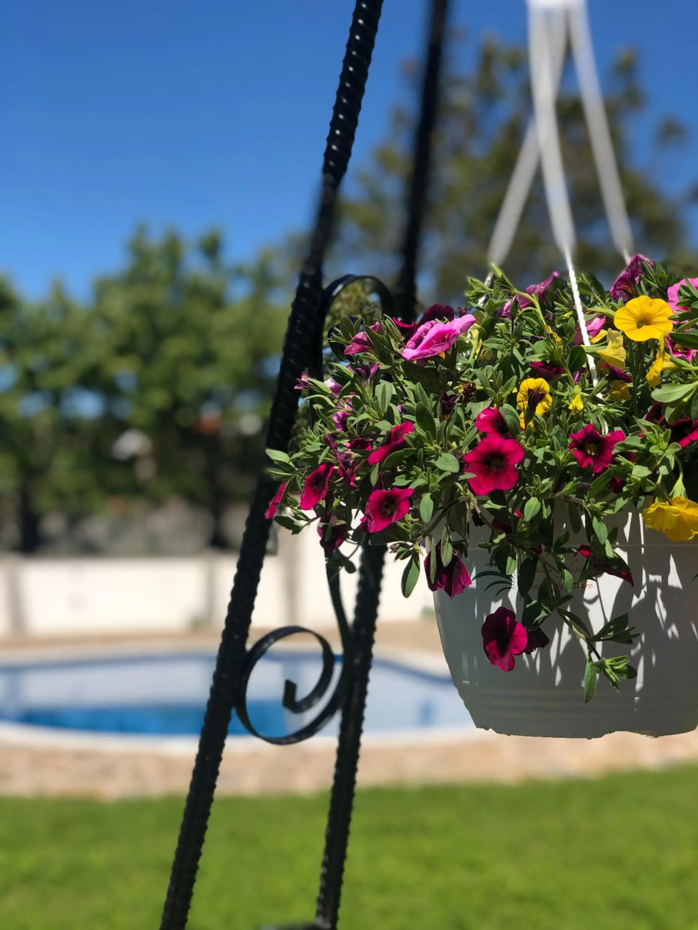 Garden in Villa Galicia