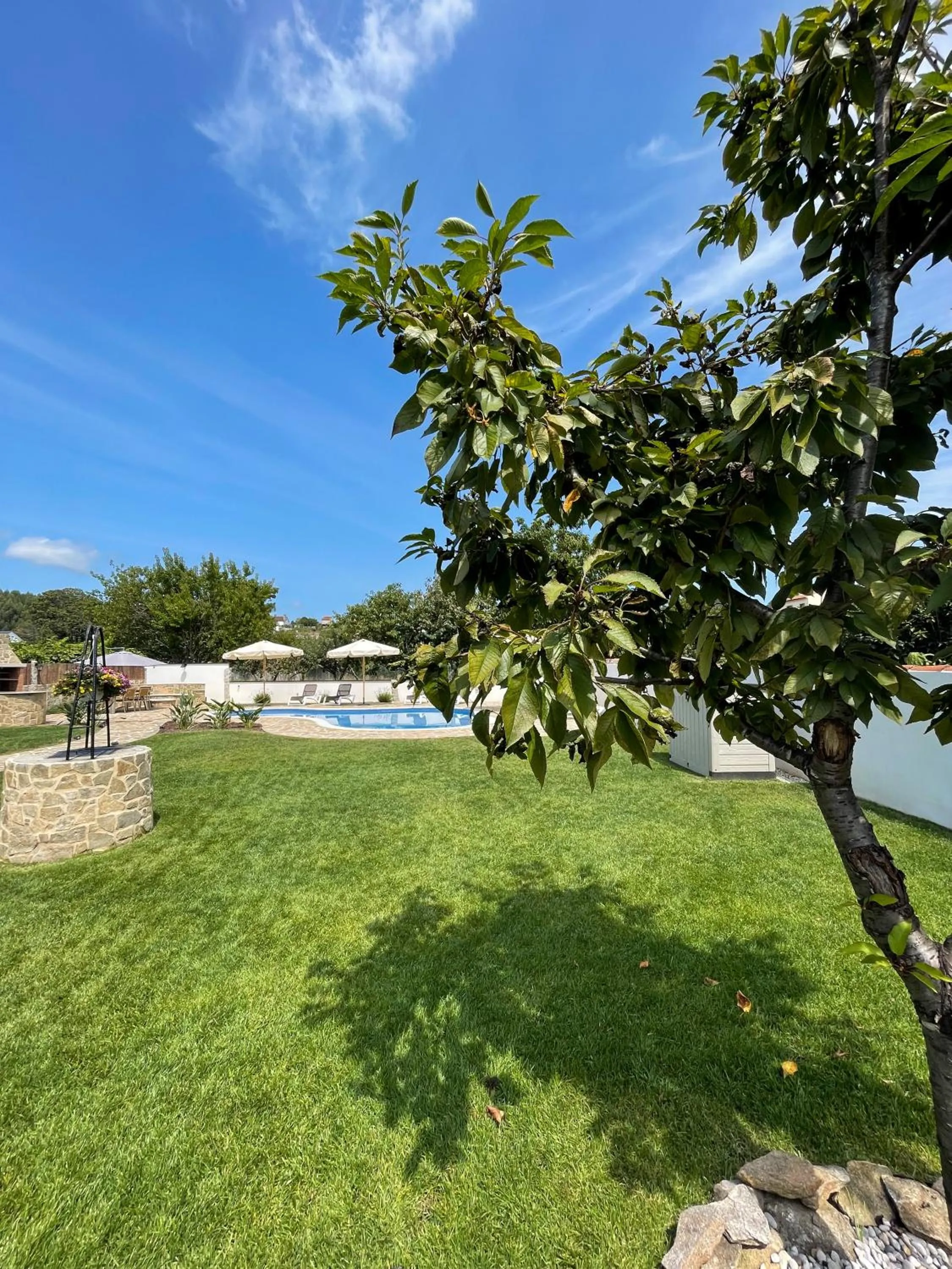 Garden in Villa Galicia