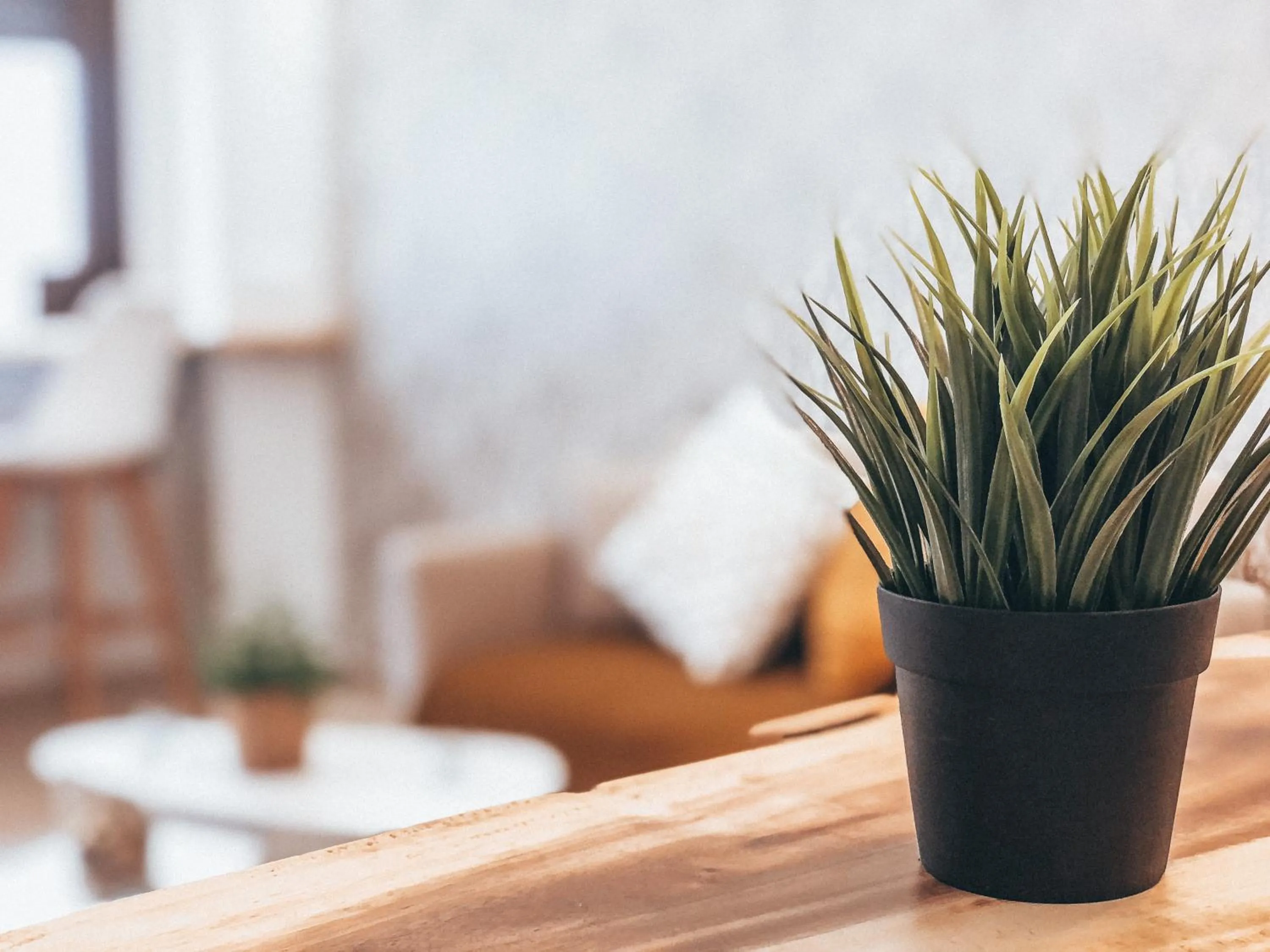 Lobby or reception in Villa Galicia