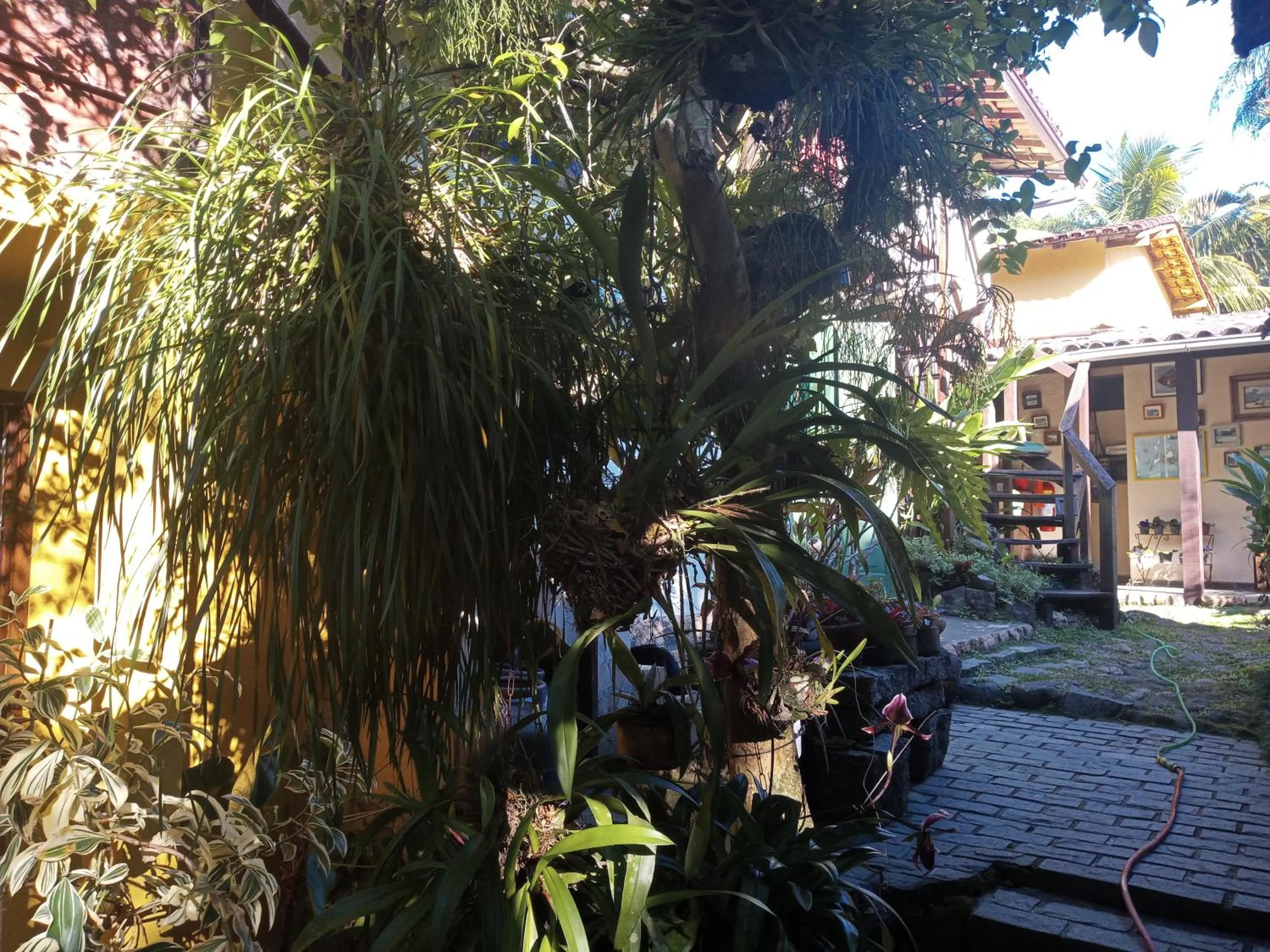 Garden in Pousada Cachoeira