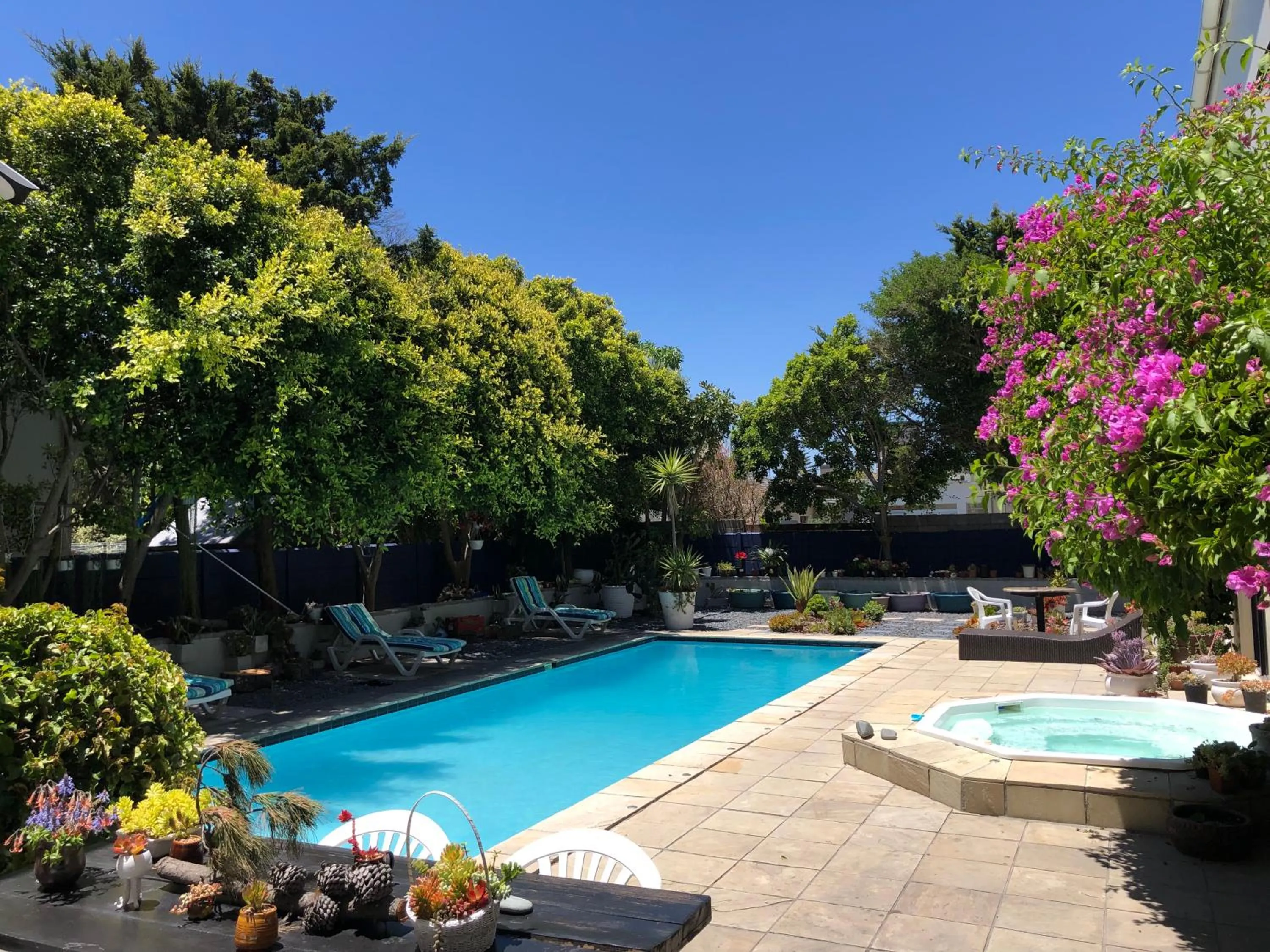 Garden view in Atlantic Bay Lodge