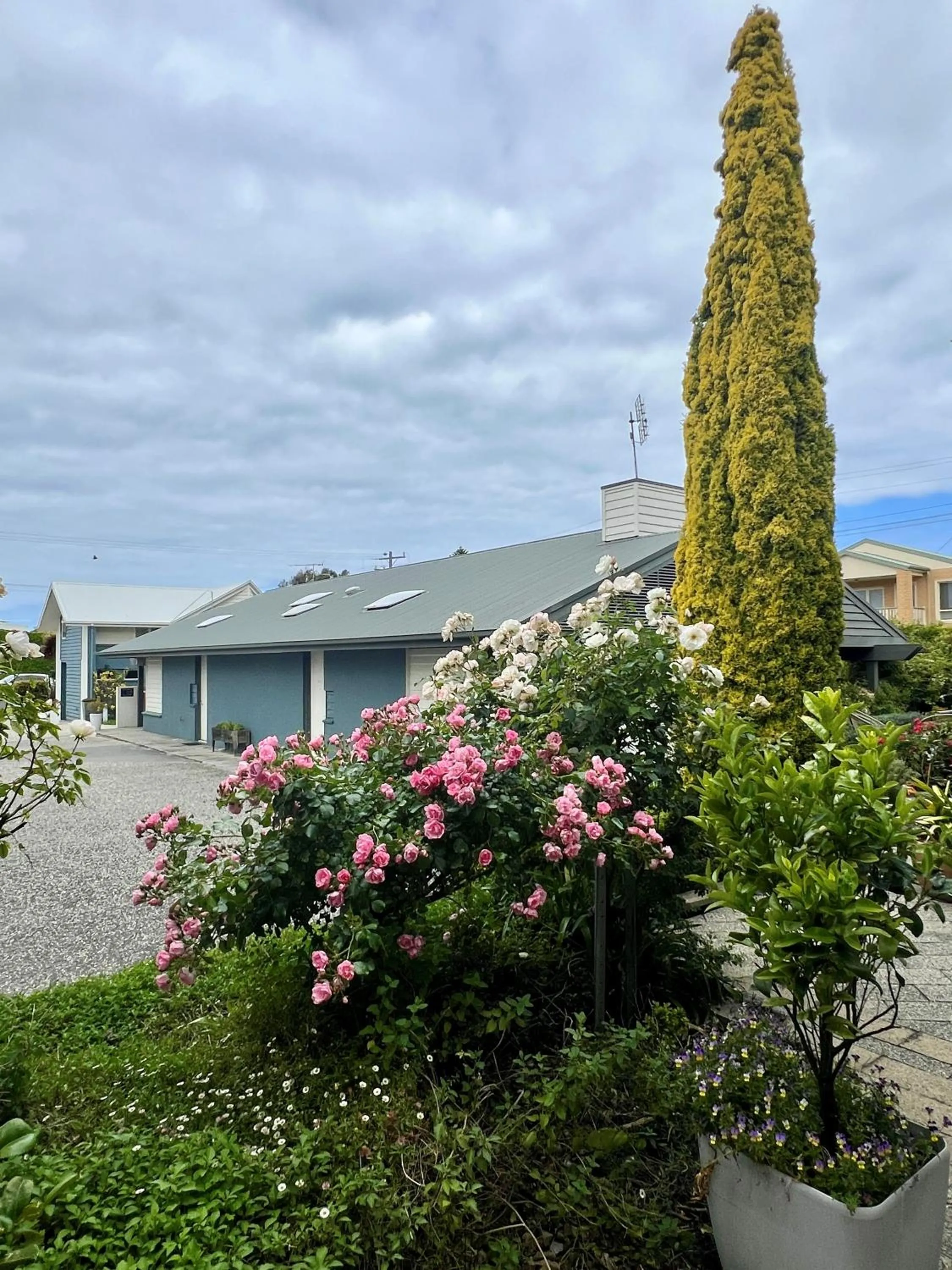 Garden in Captain's at the Bay