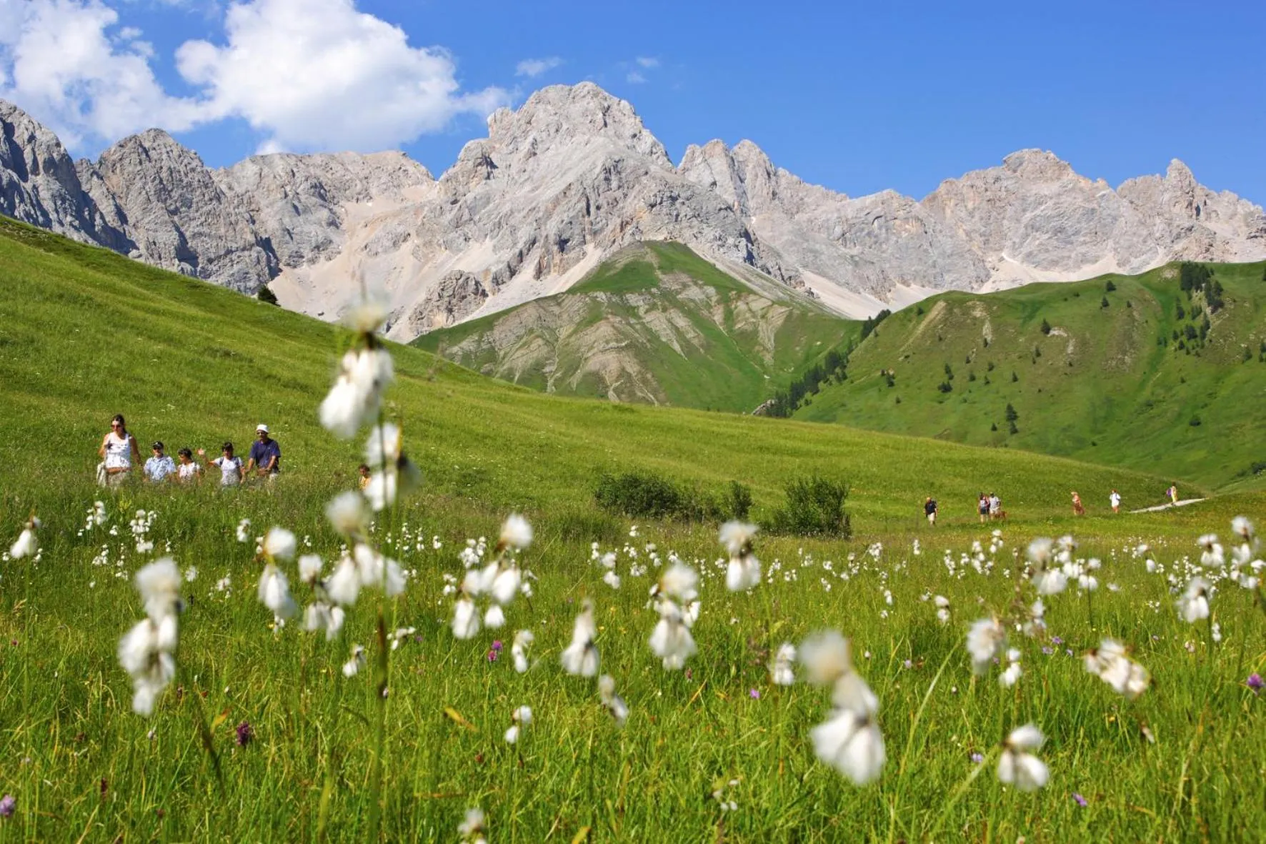 Hiking in Chalet Aster