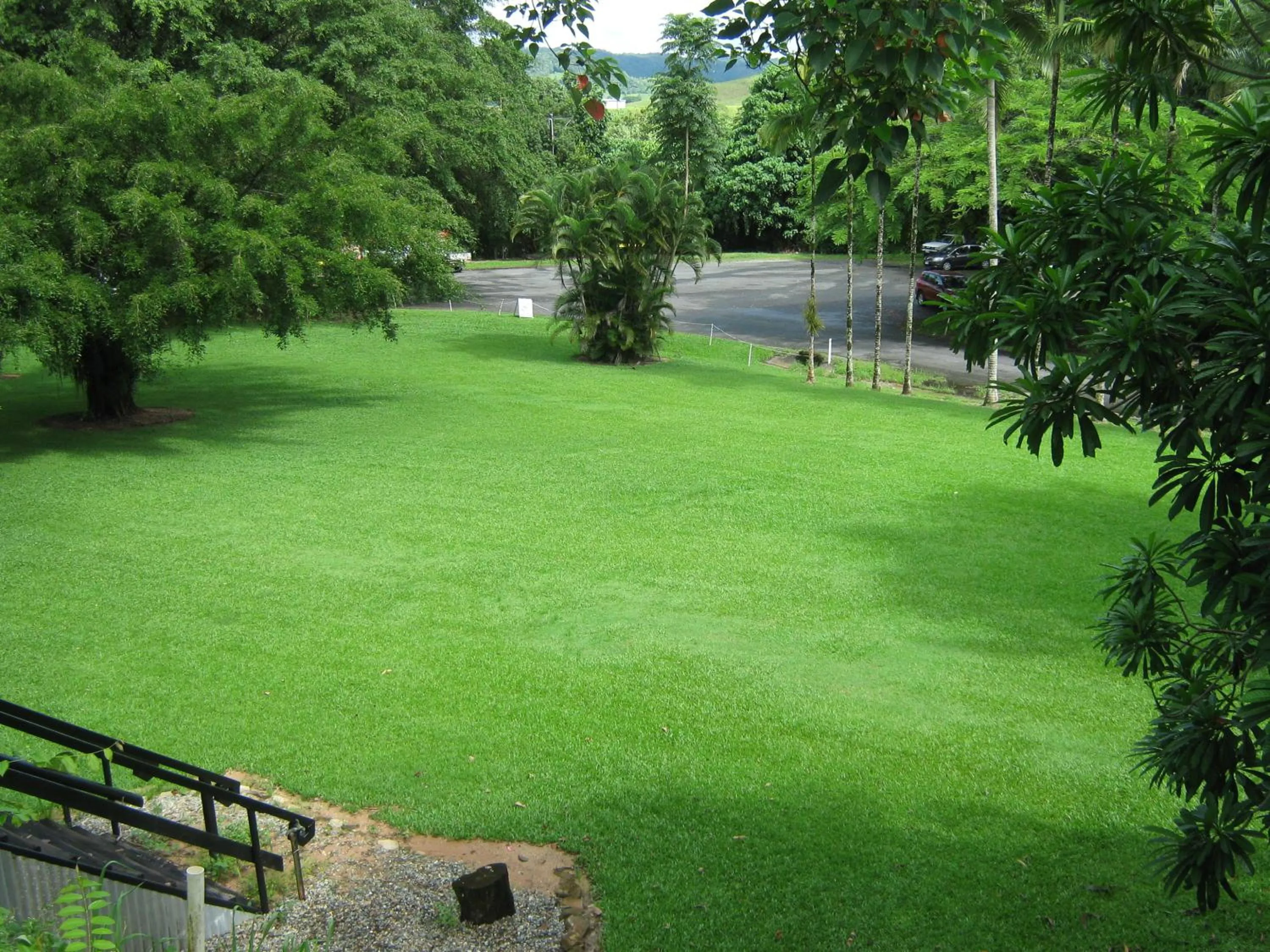 Garden view in Daintree Riverview Lodges
