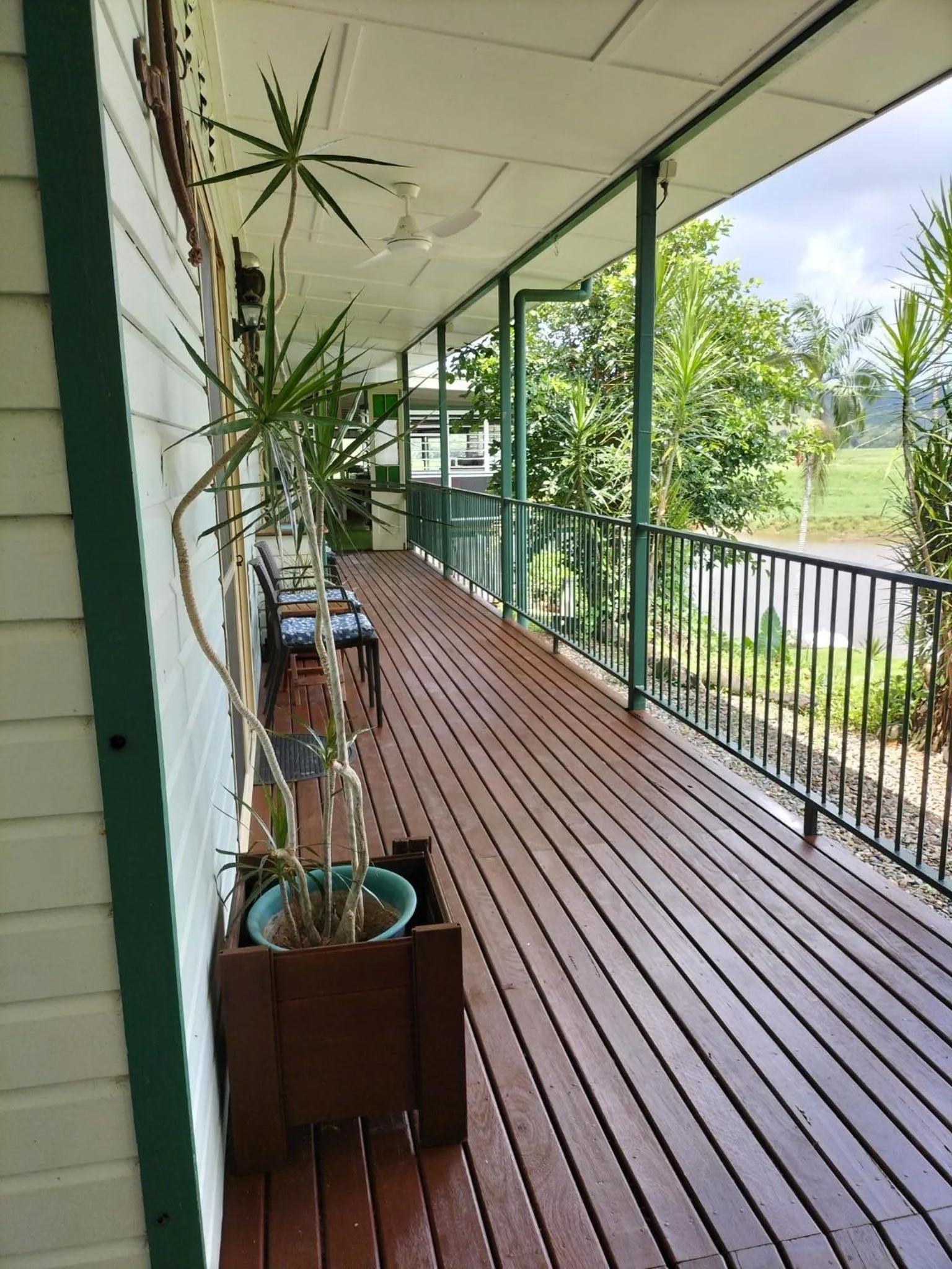 Daintree Riverview Lodges