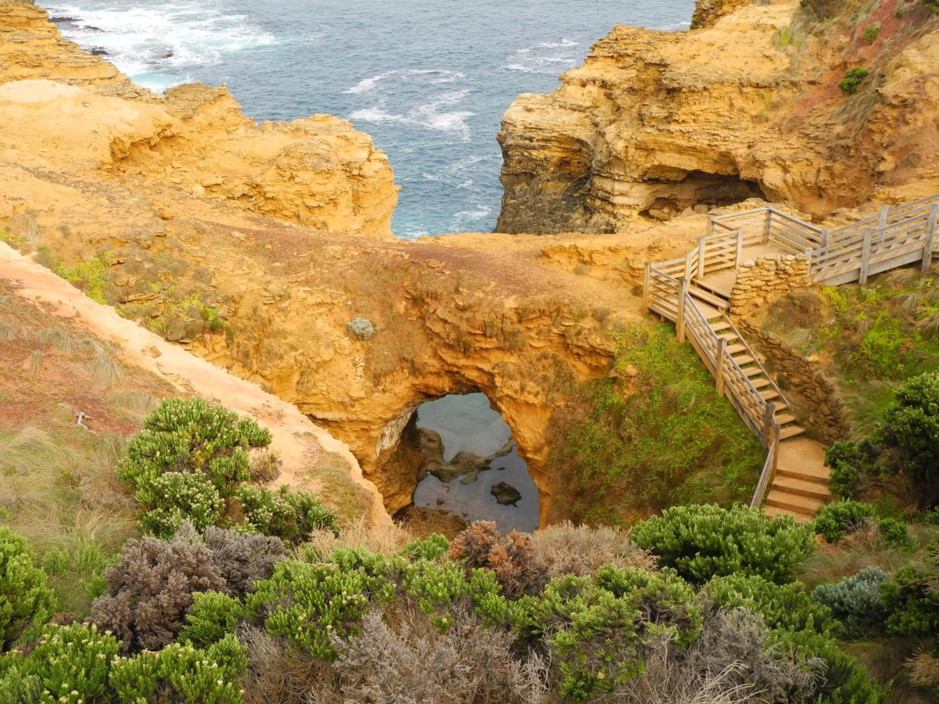 Natural landscape in Elm Tree Motel