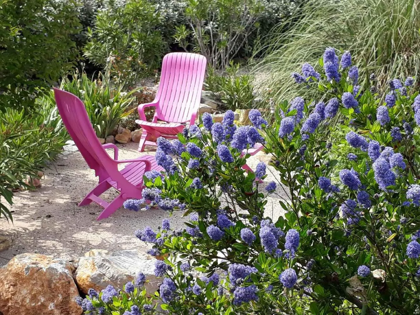 Garden in La Colombe