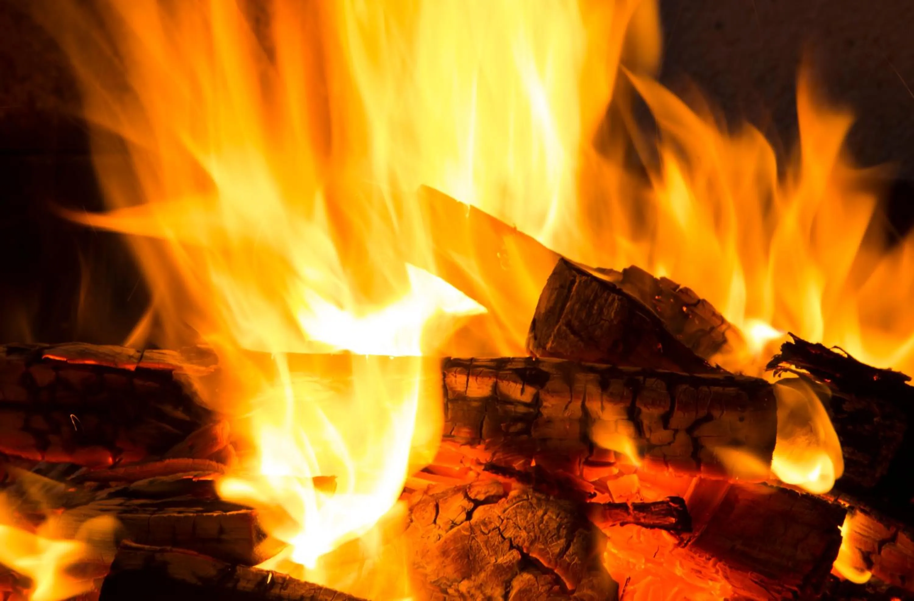 BBQ facilities in Parkhotel Idar-Oberstein