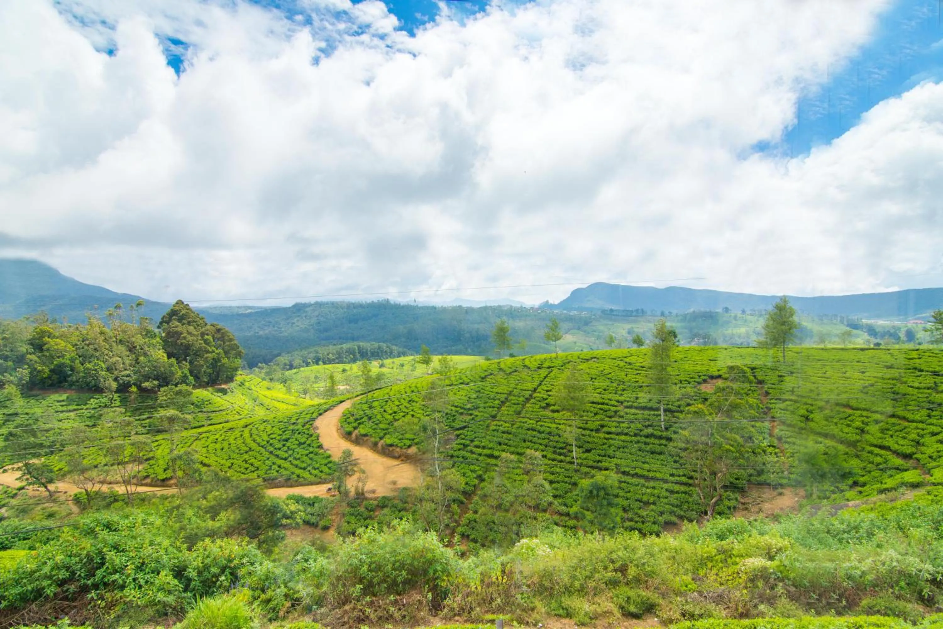 Neighbourhood in The Glenmor Bungalow