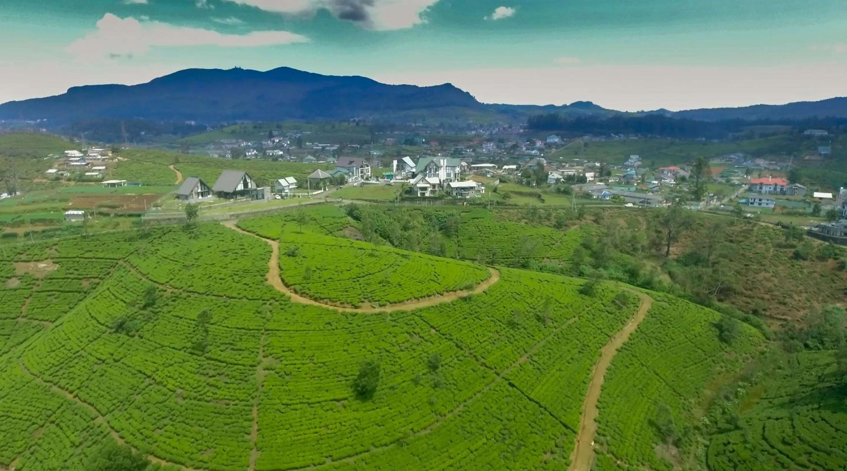 Mountain view in The Glenmor Bungalow