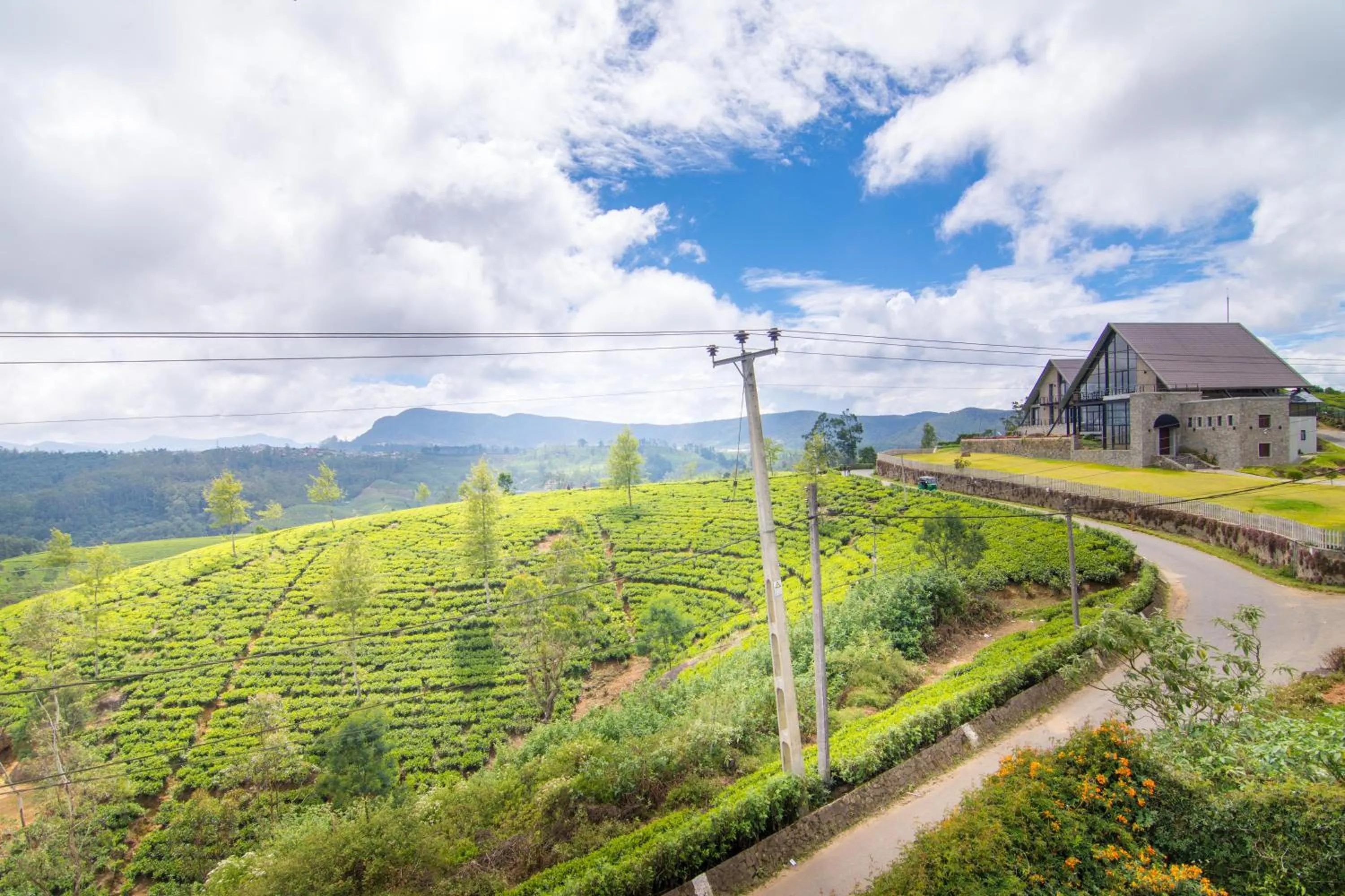 Garden view in The Glenmor Bungalow