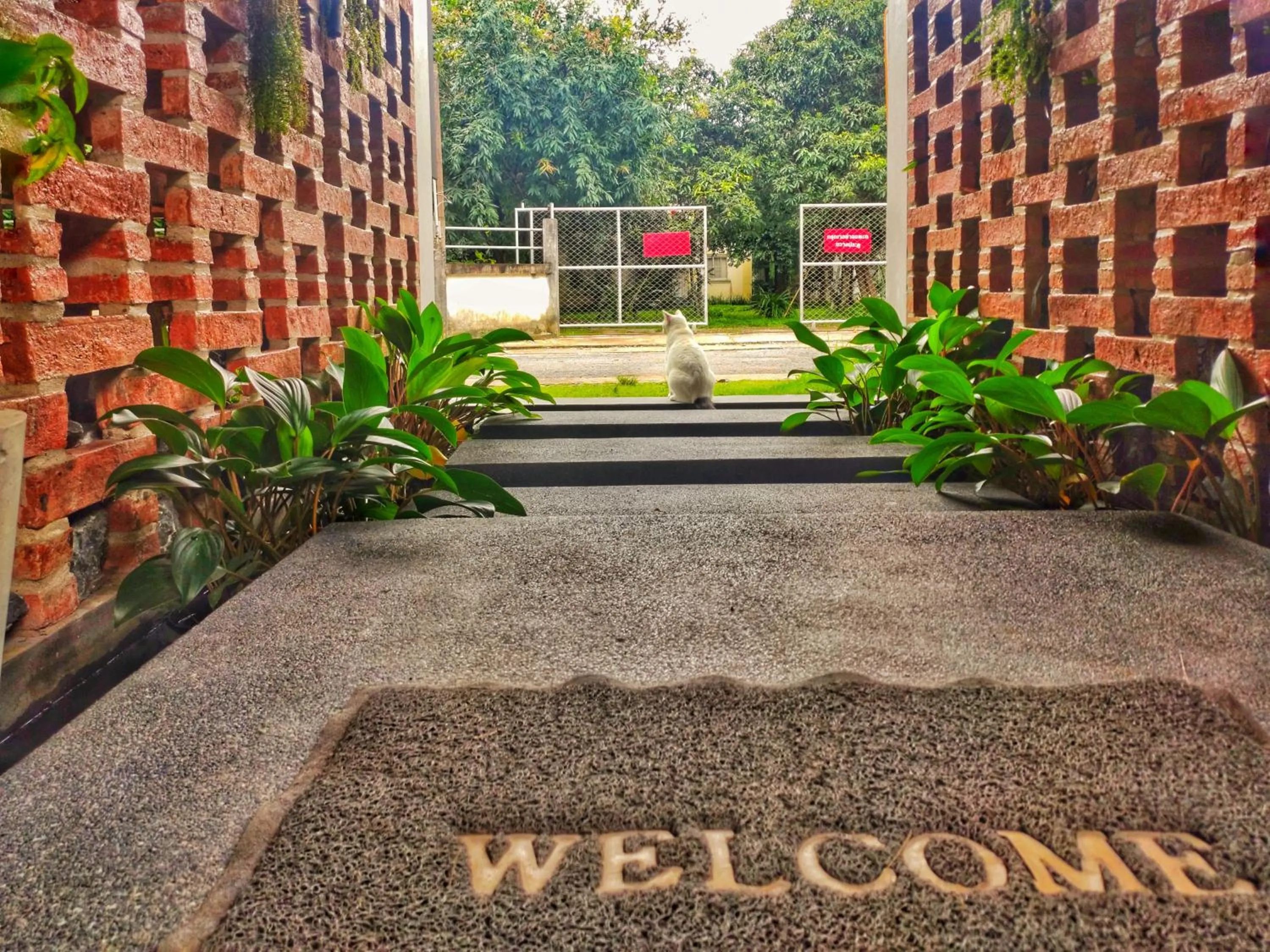 Garden in Yellow Pillow village