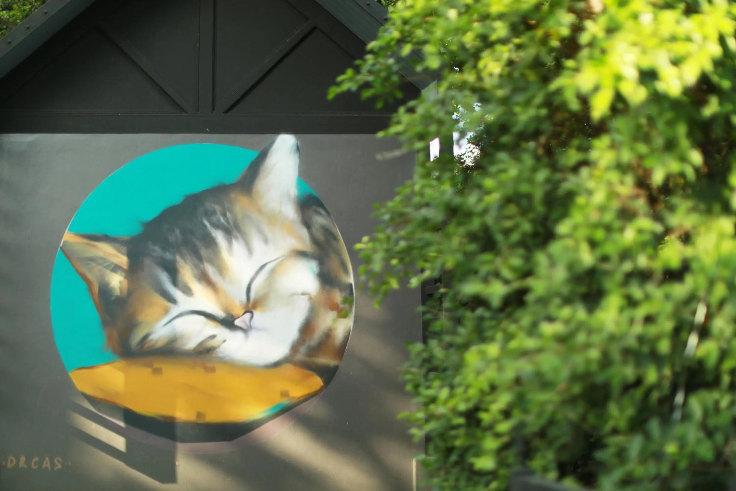 Pets in Yellow Pillow village