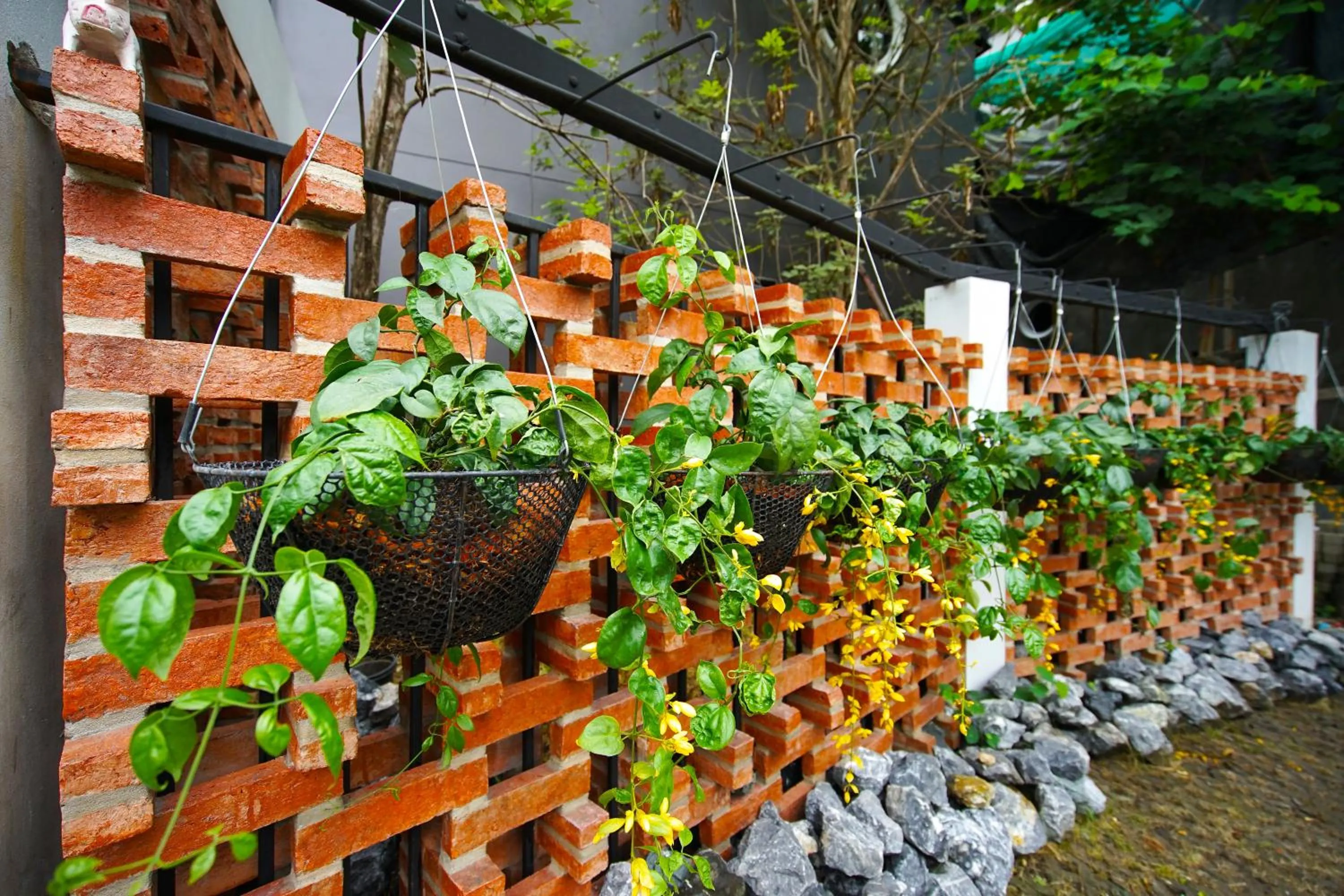 Garden in Yellow Pillow village