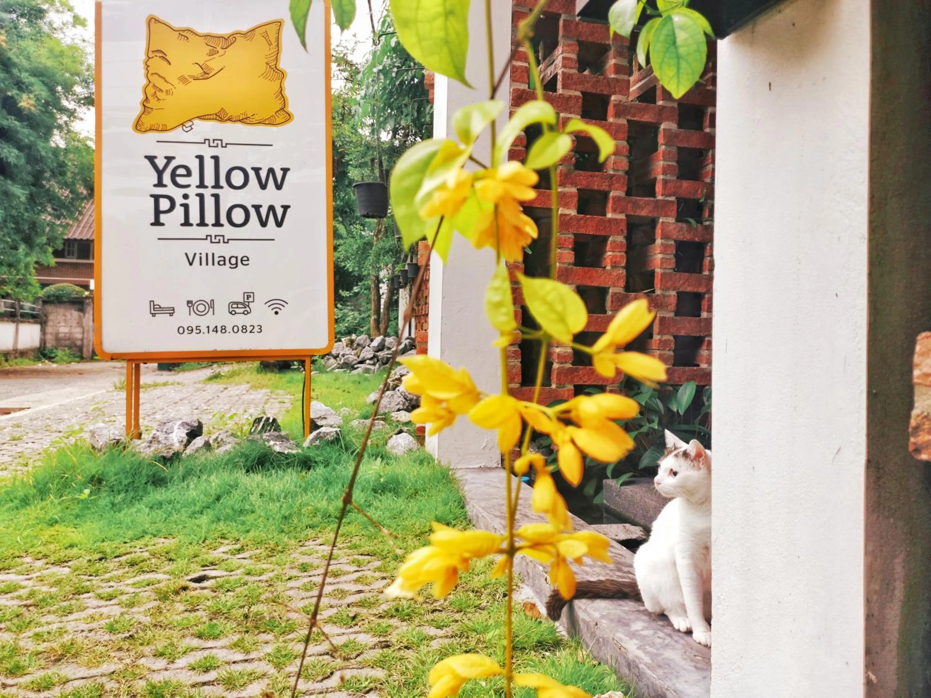 Property logo or sign in Yellow Pillow village