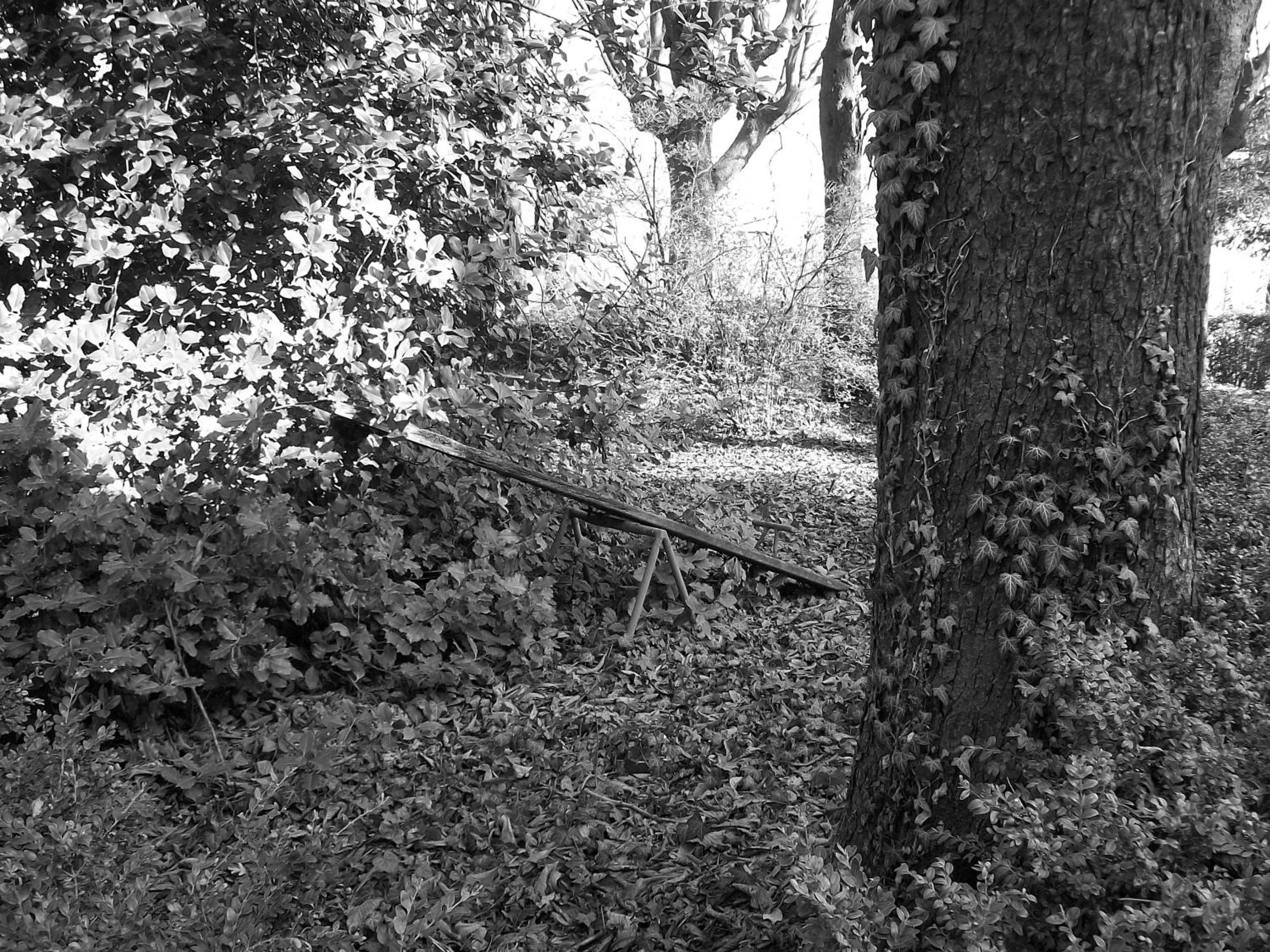 Natural landscape in Tenuta San Rocco