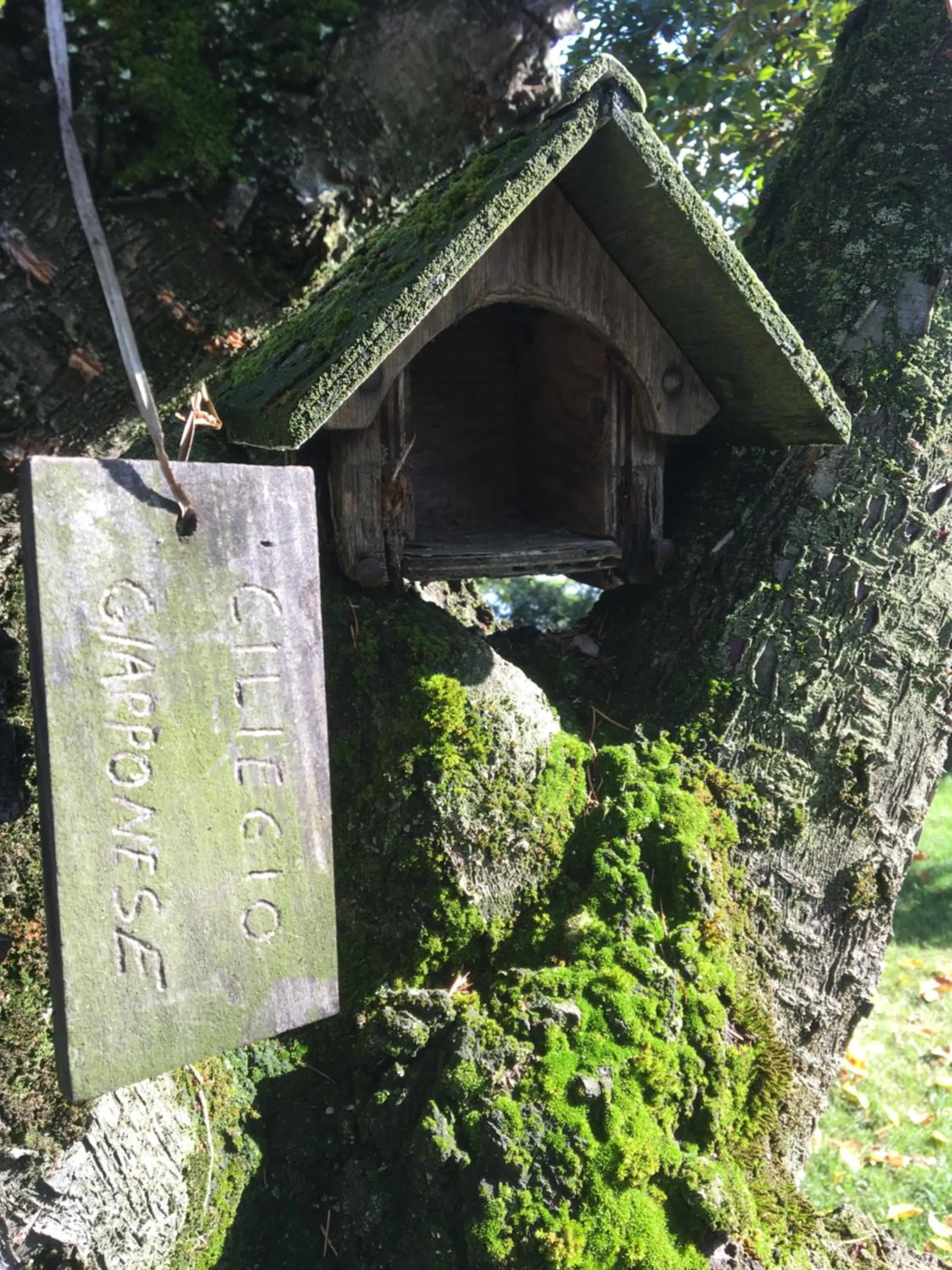 Garden in Tenuta San Rocco