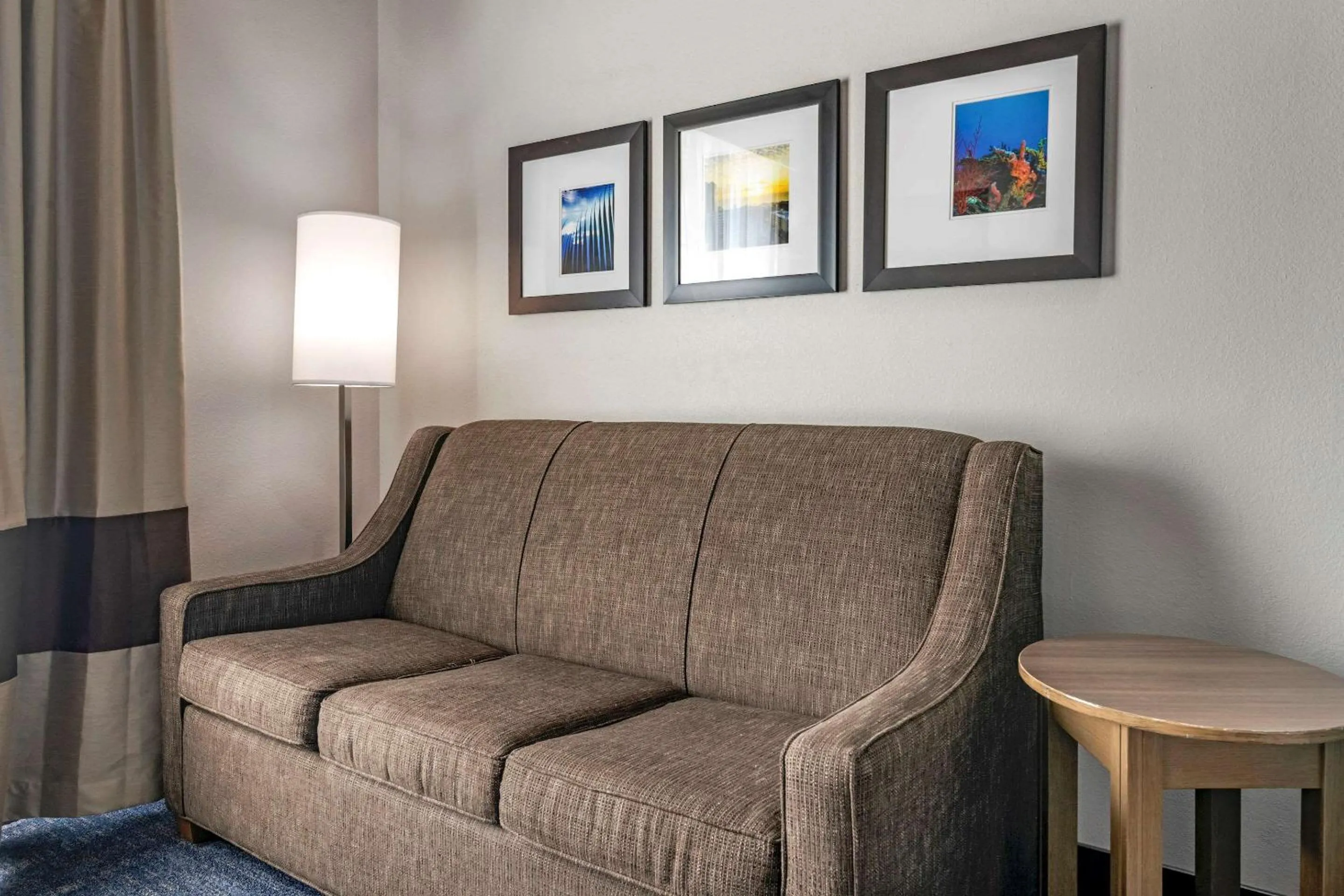 Photo of the whole room in Comfort Suites Fort Lauderdale Airport & Cruise Port