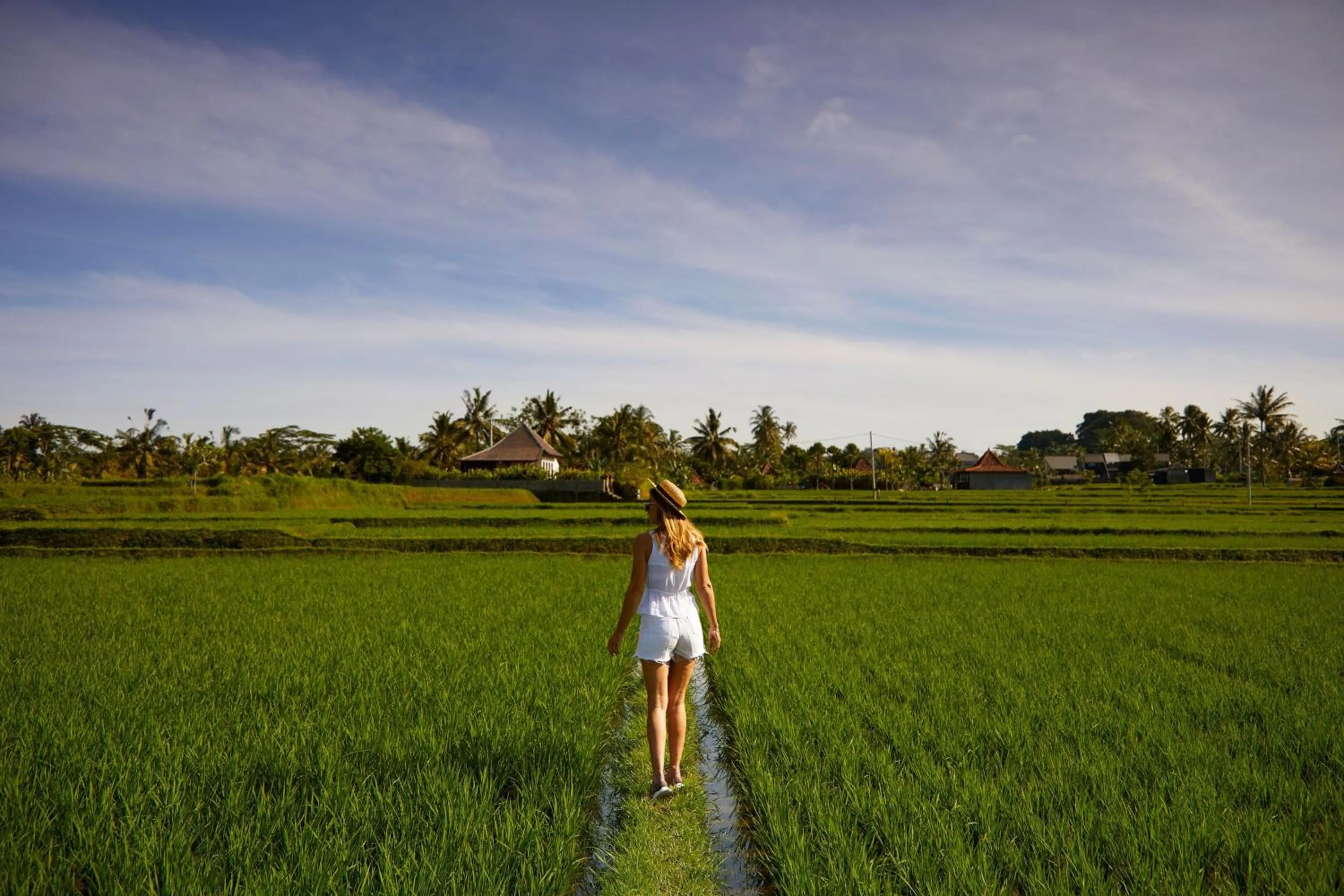 Property building in Element Bali Ubud