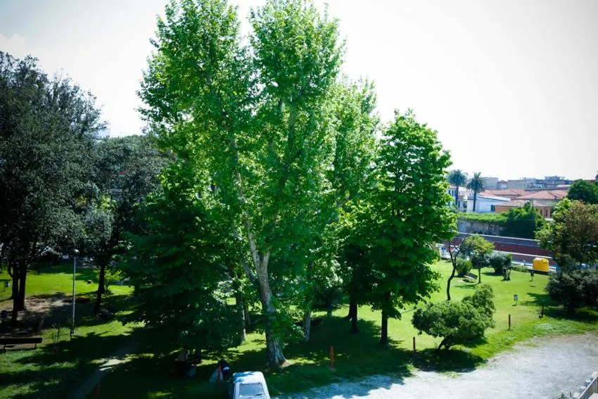 Other in Hotel Daisy