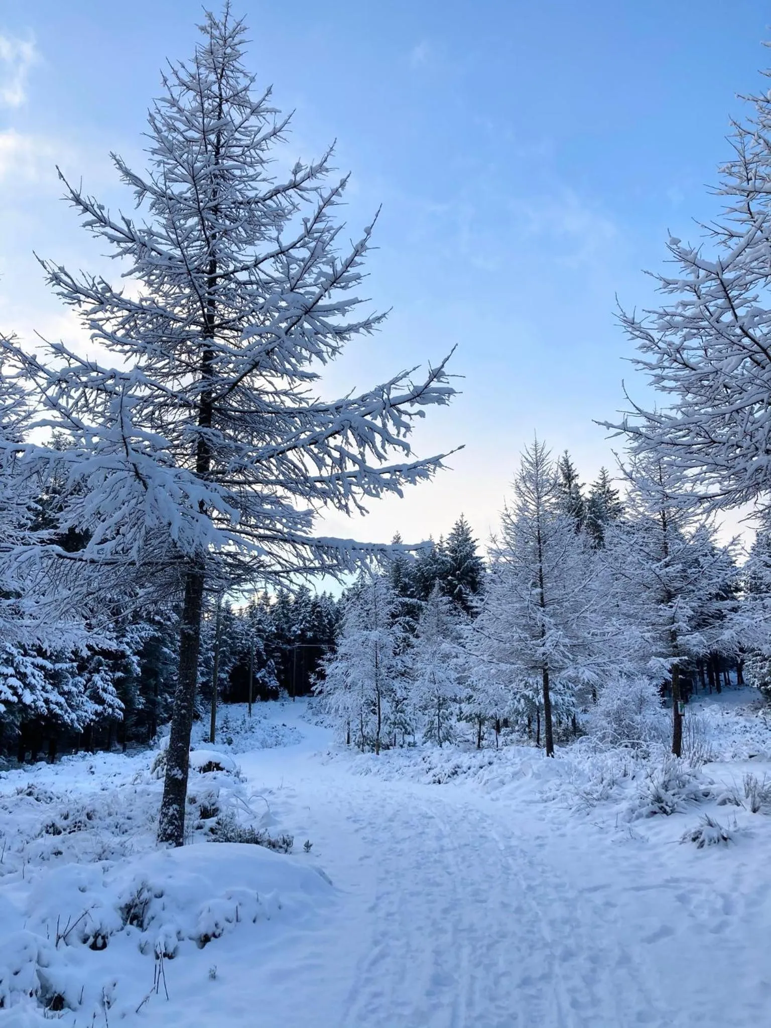 Parken Terrasse Apartment Hotel