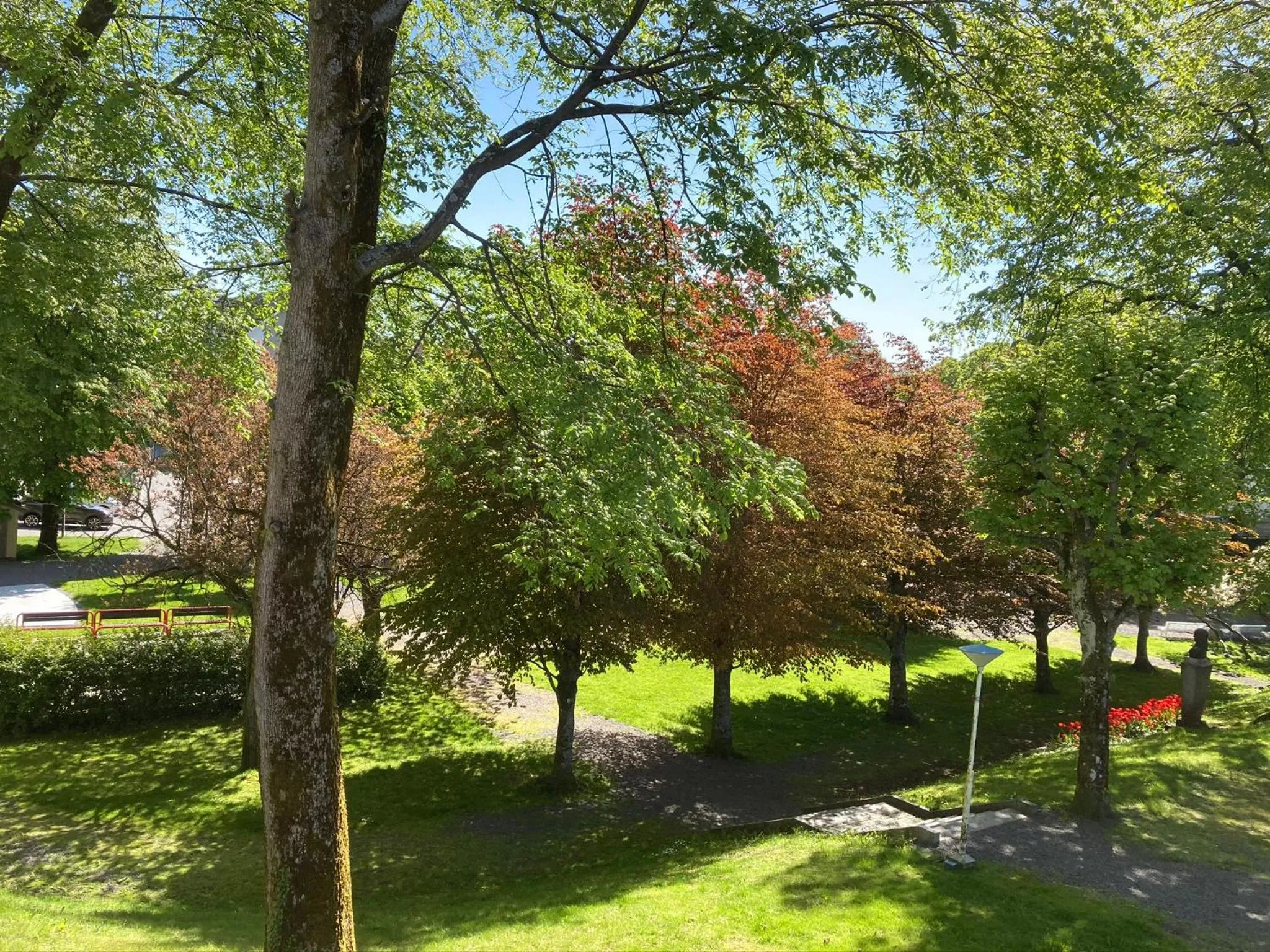 Parken Terrasse Apartment Hotel