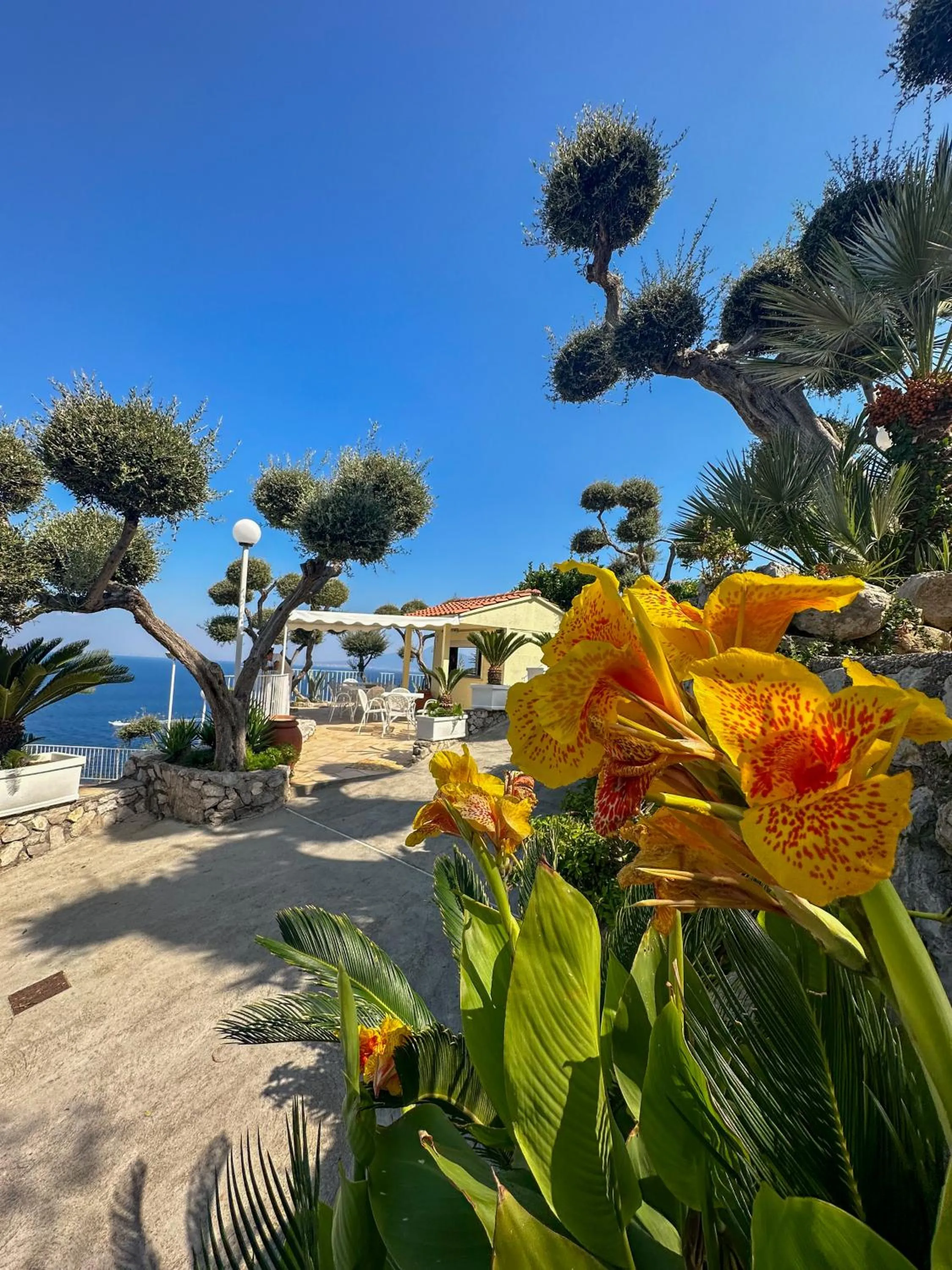 Natural landscape in Villaggio Villa Lubrense