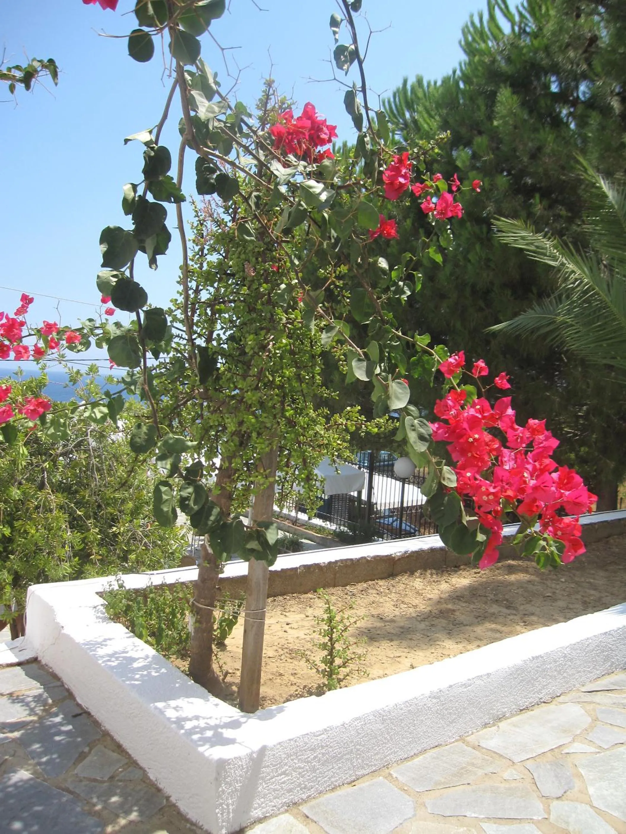 Garden in Travlos Studios