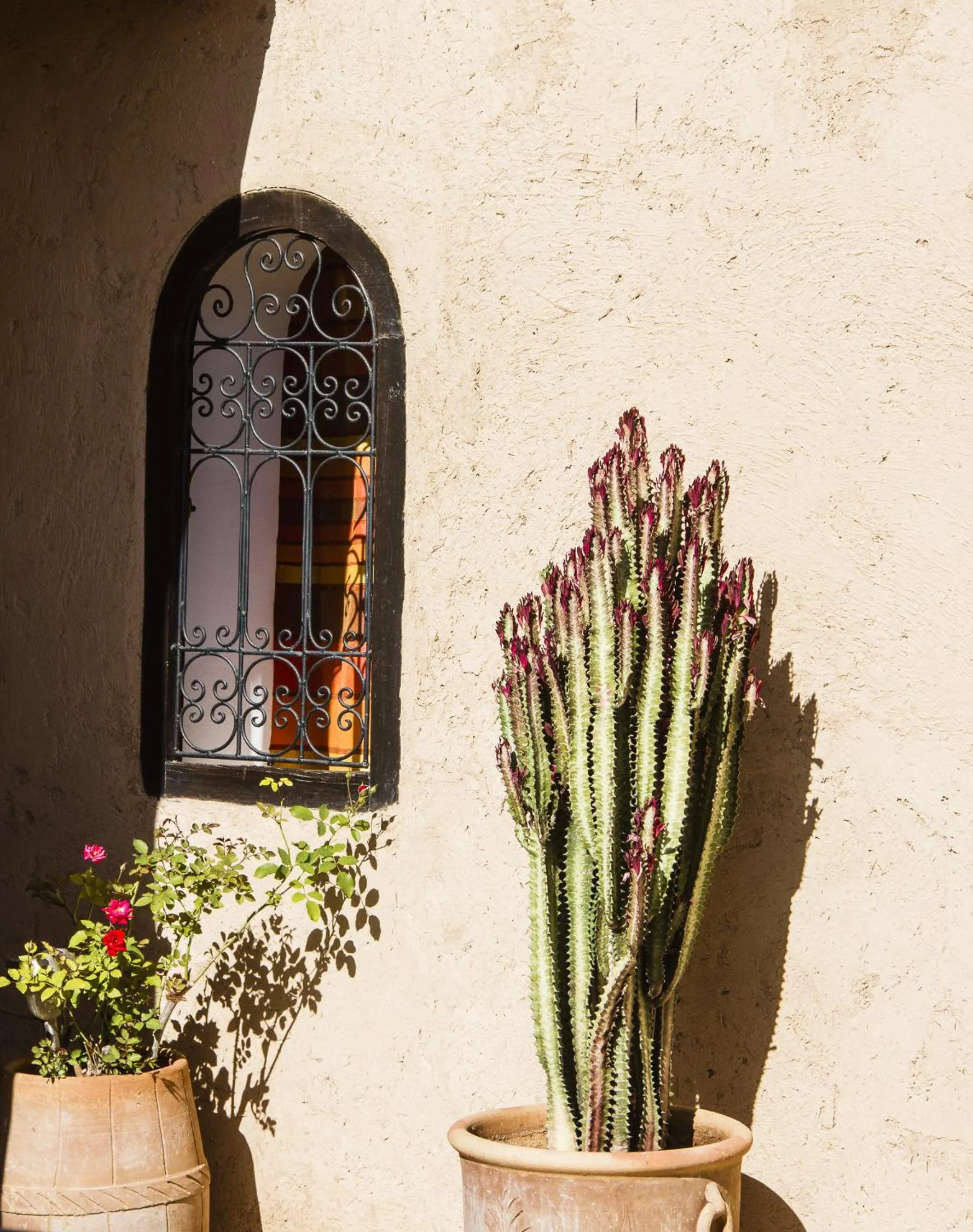 Garden in Riad Maud