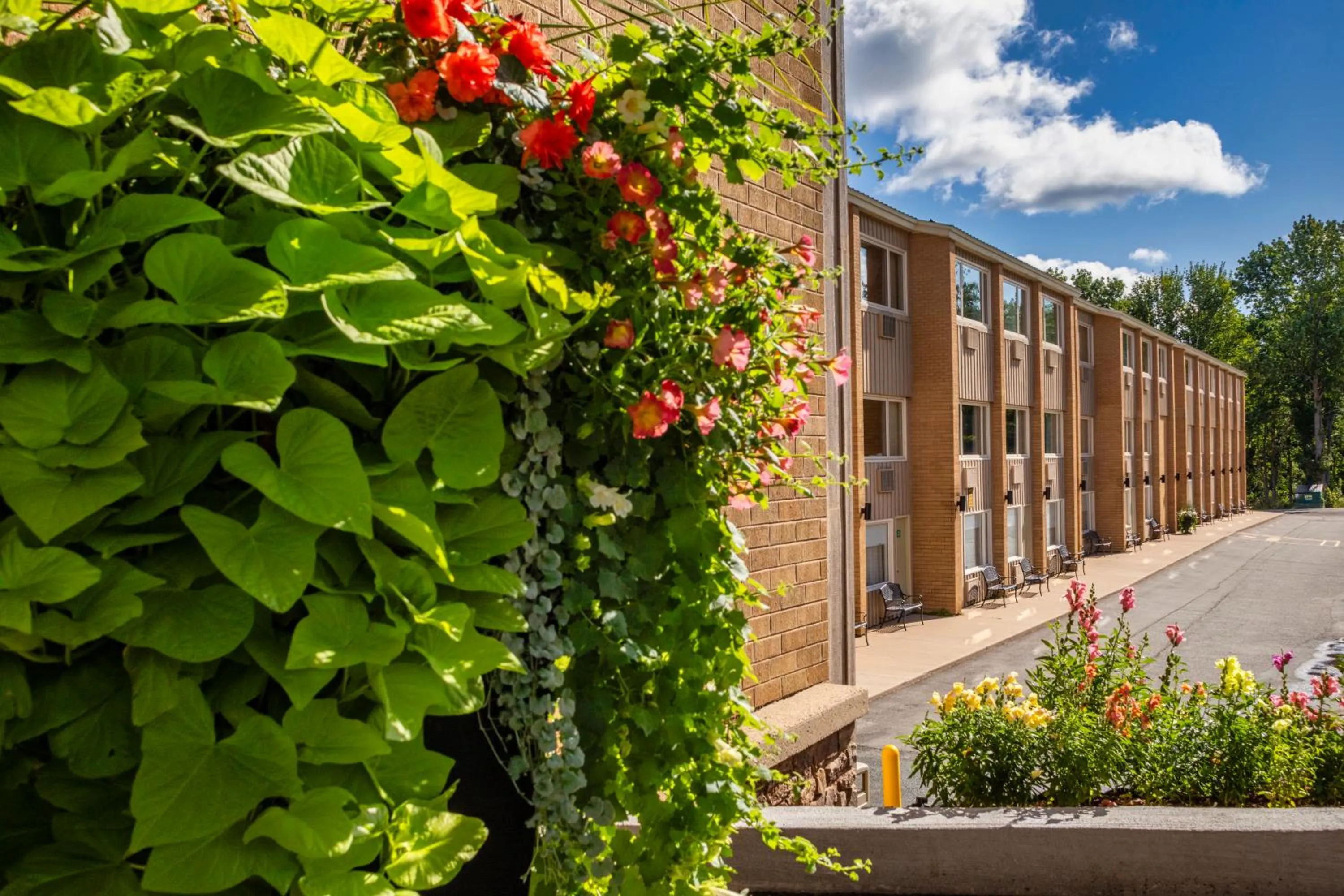 Property building in Old Orchard Inn