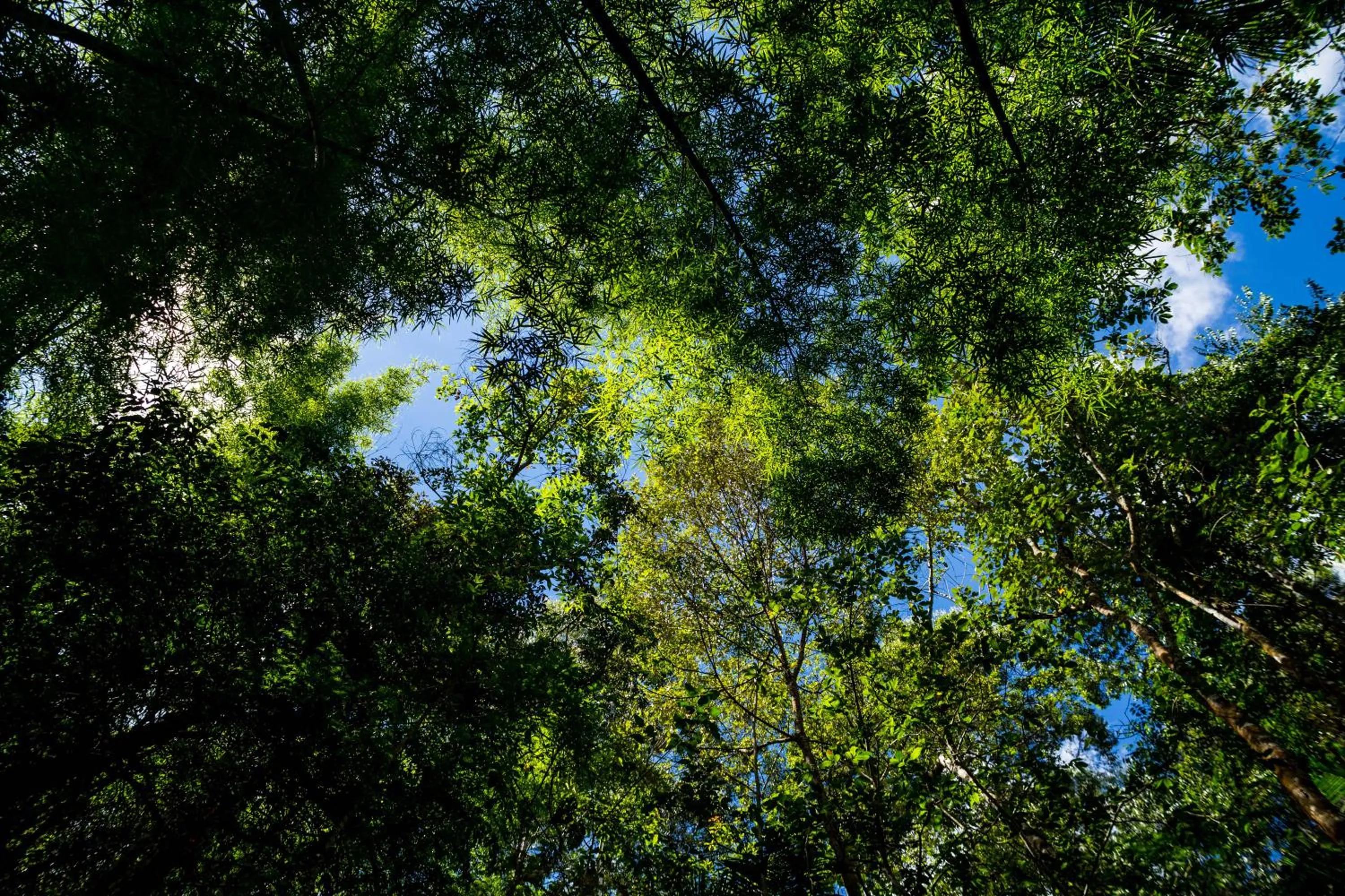 Chez Domaine Pousada Organica