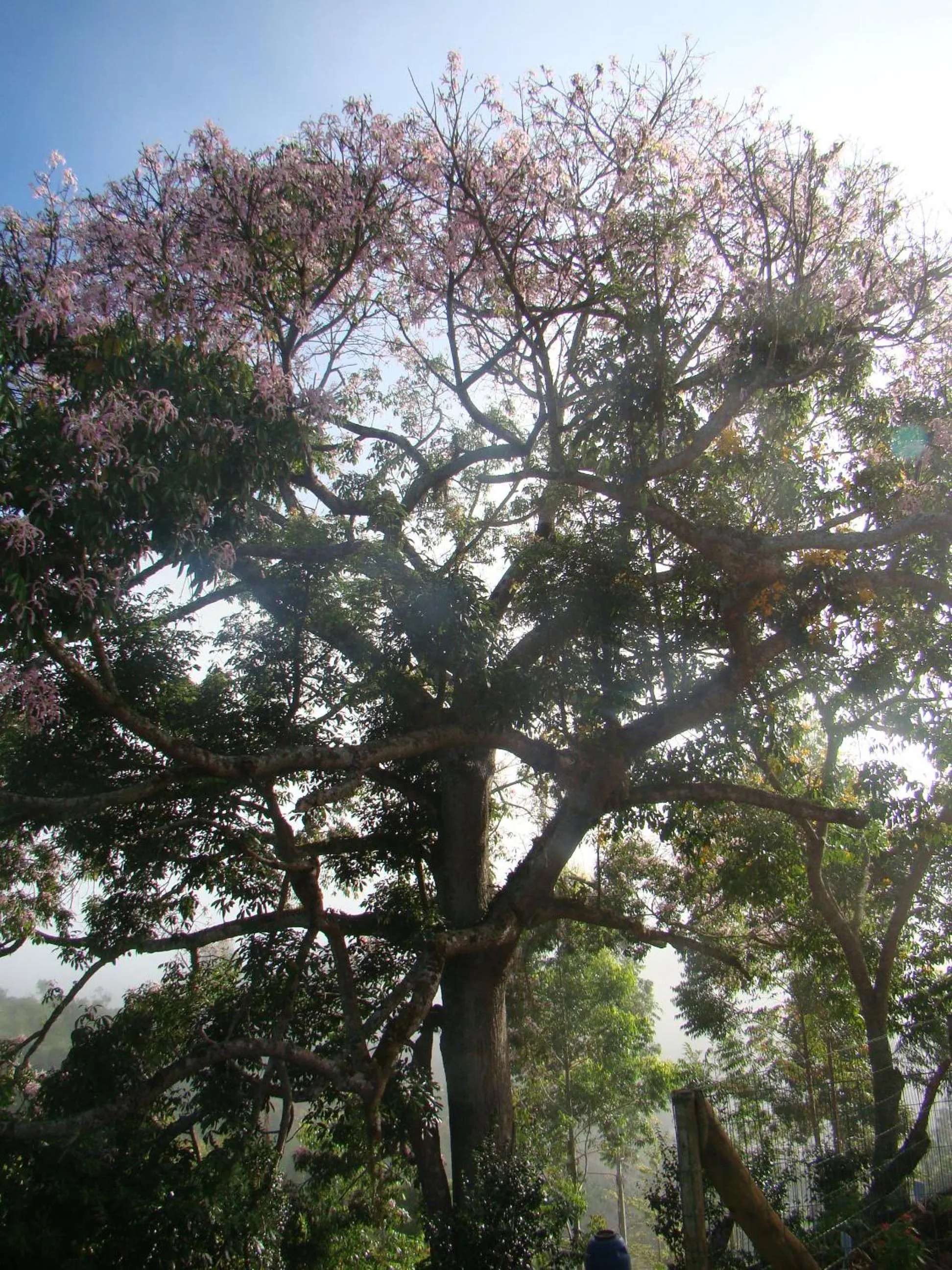Natural landscape in Chez Domaine Pousada Organica