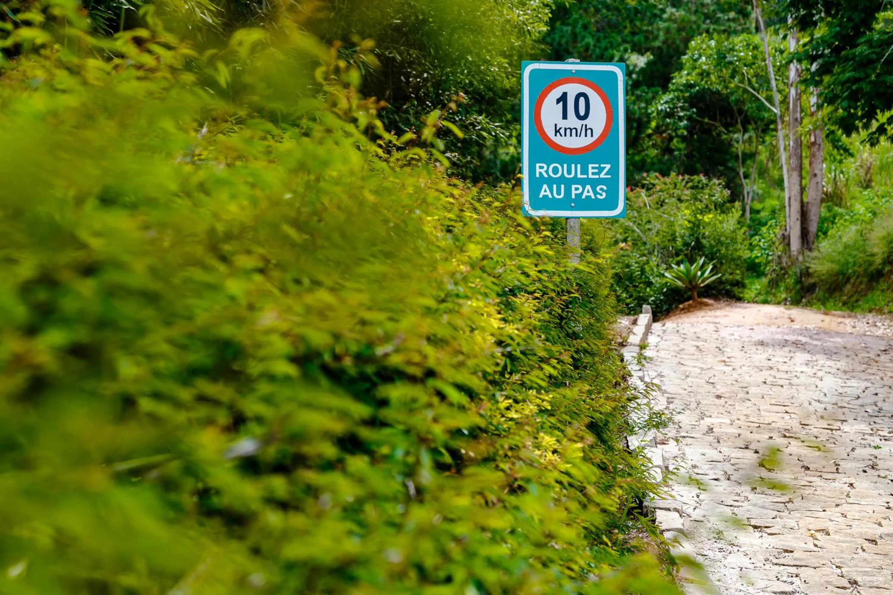 Chez Domaine Pousada Organica