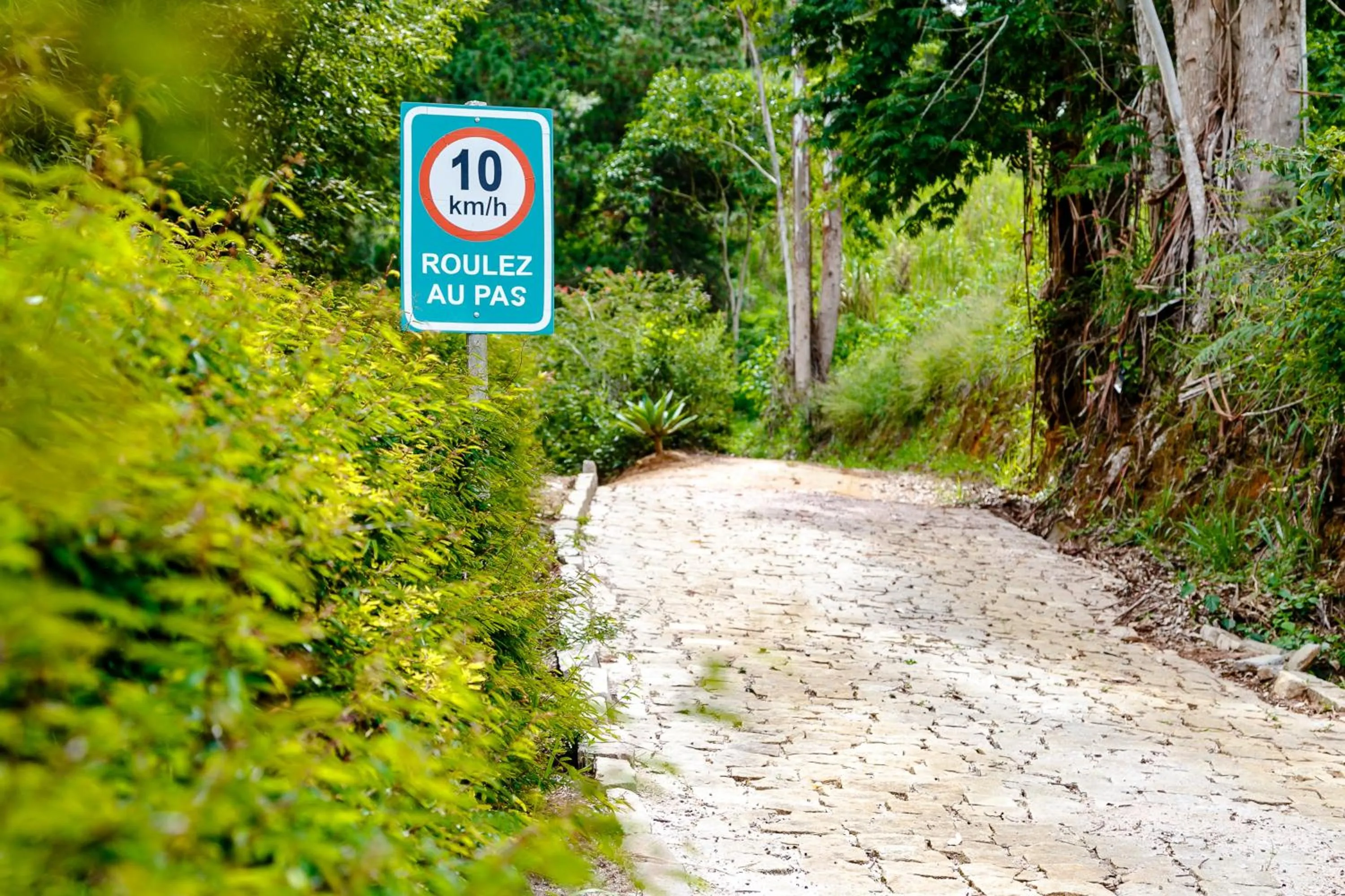 Chez Domaine Pousada Organica