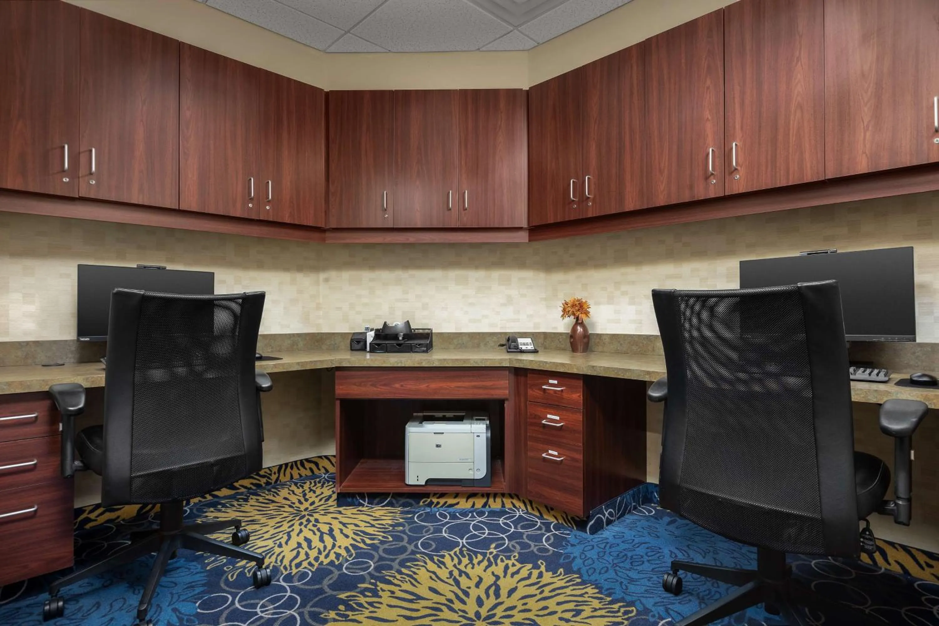 Business facilities in Hampton Inn Syracuse Clay