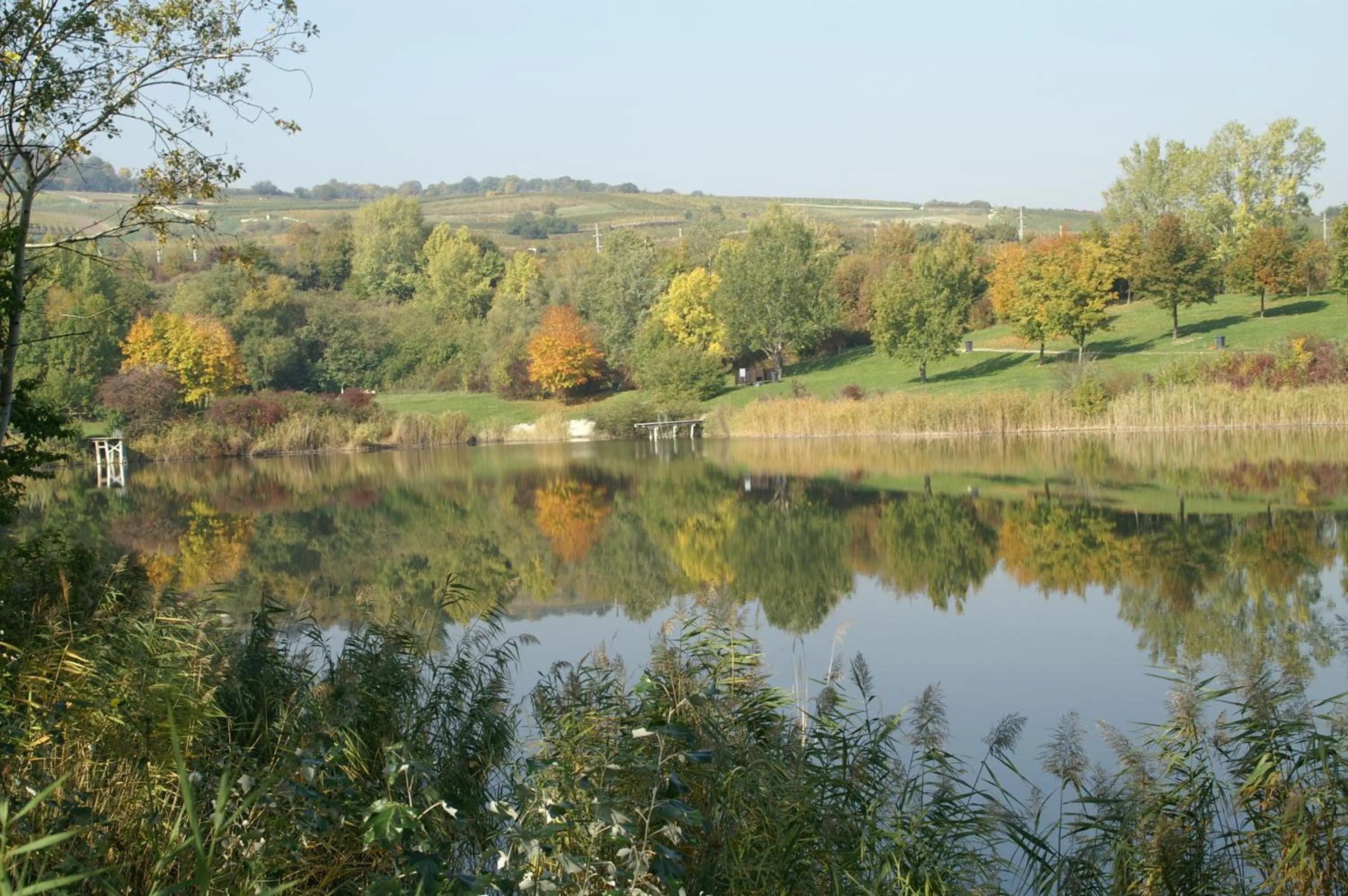 Area and facilities in Oldtimer Motorhotel Guntramsdorf