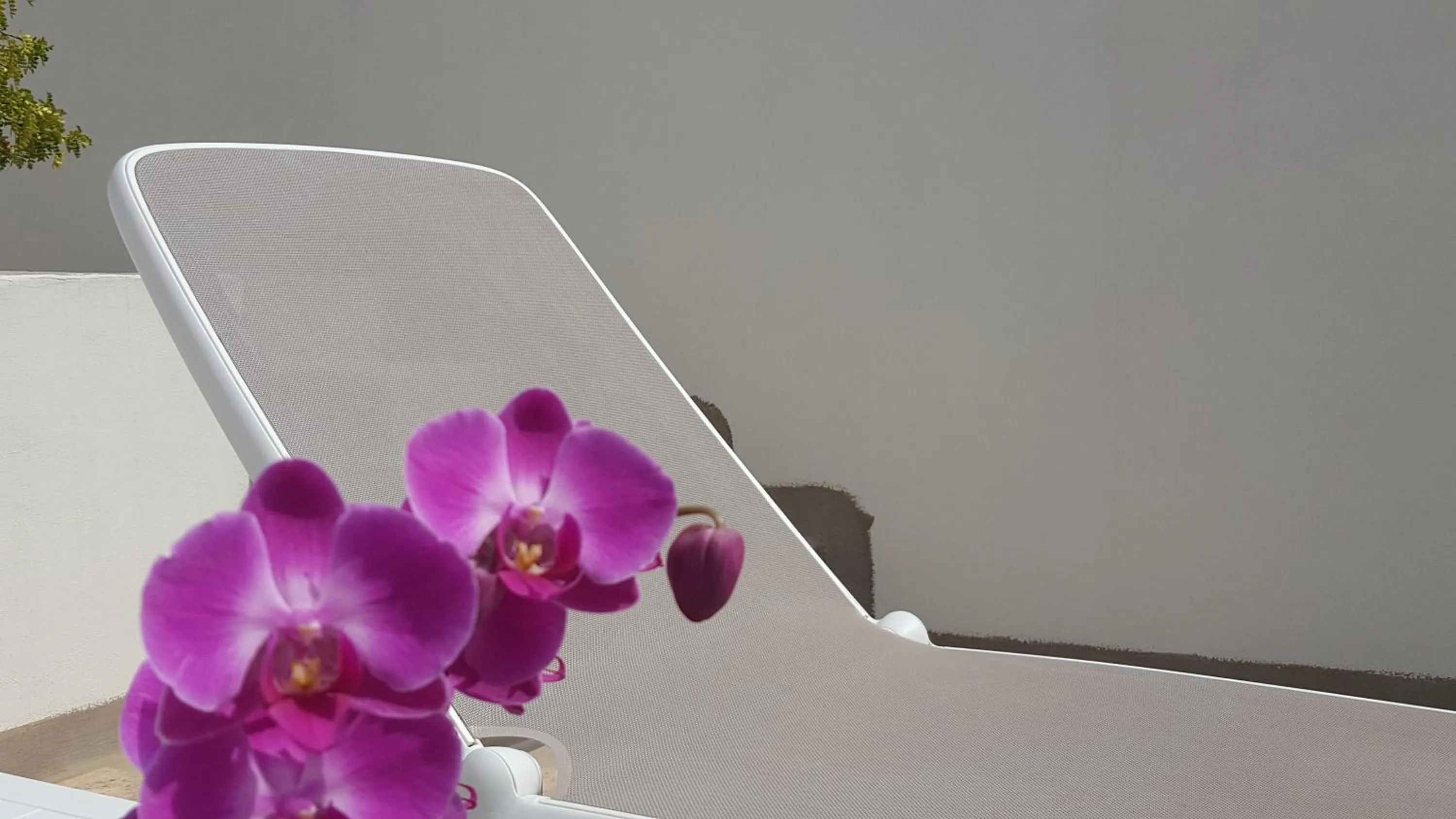 Solarium in Torres Suite