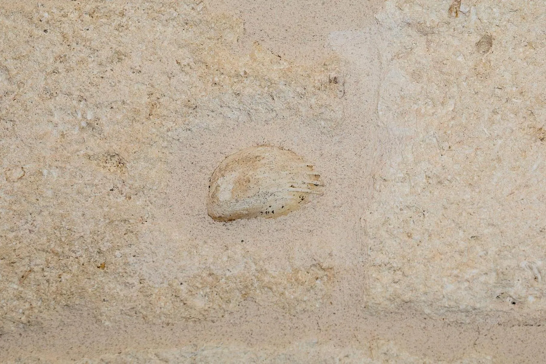 Facade/entrance in Torres Suite