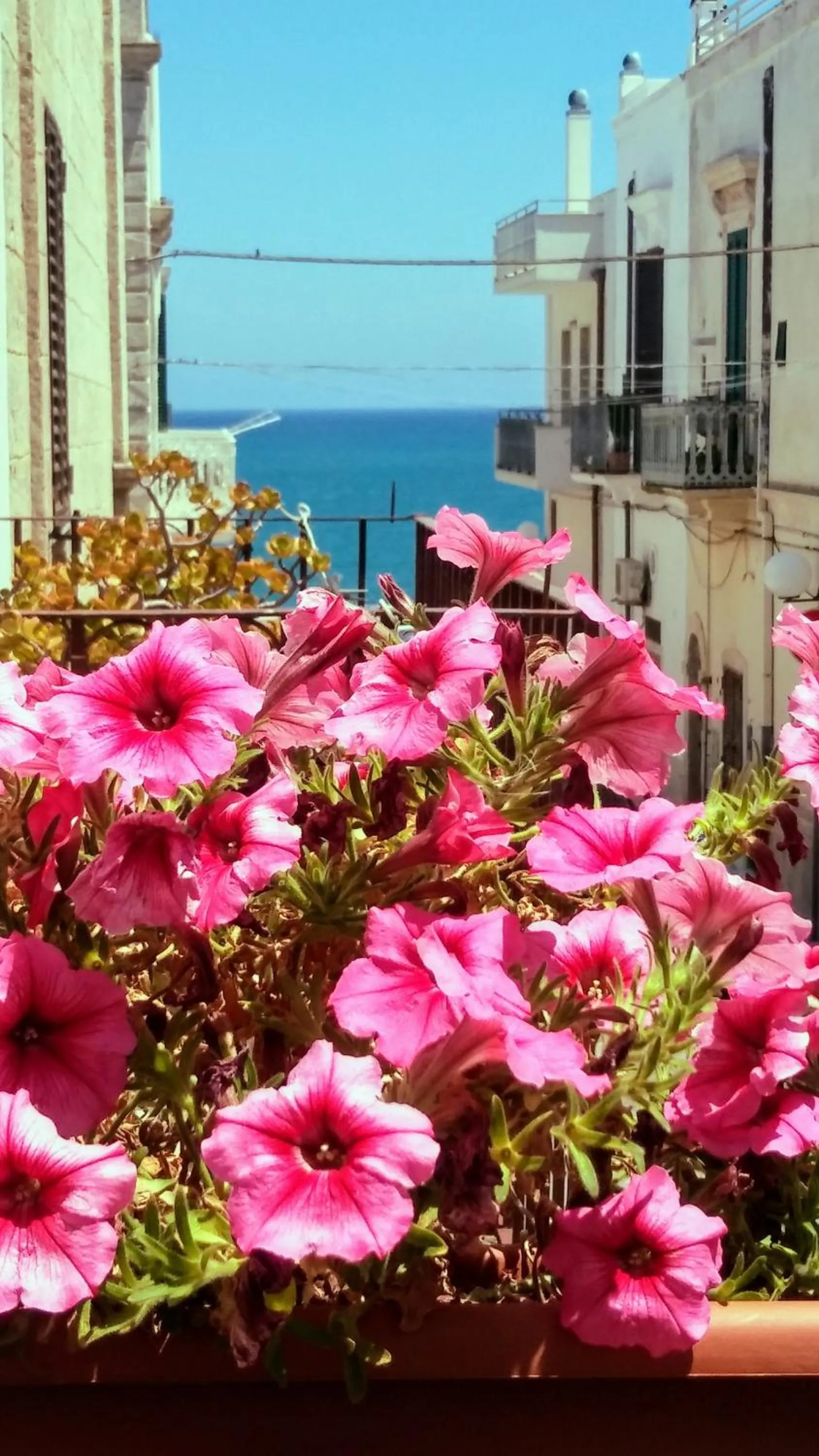 Balcony/Terrace in Torres Suite