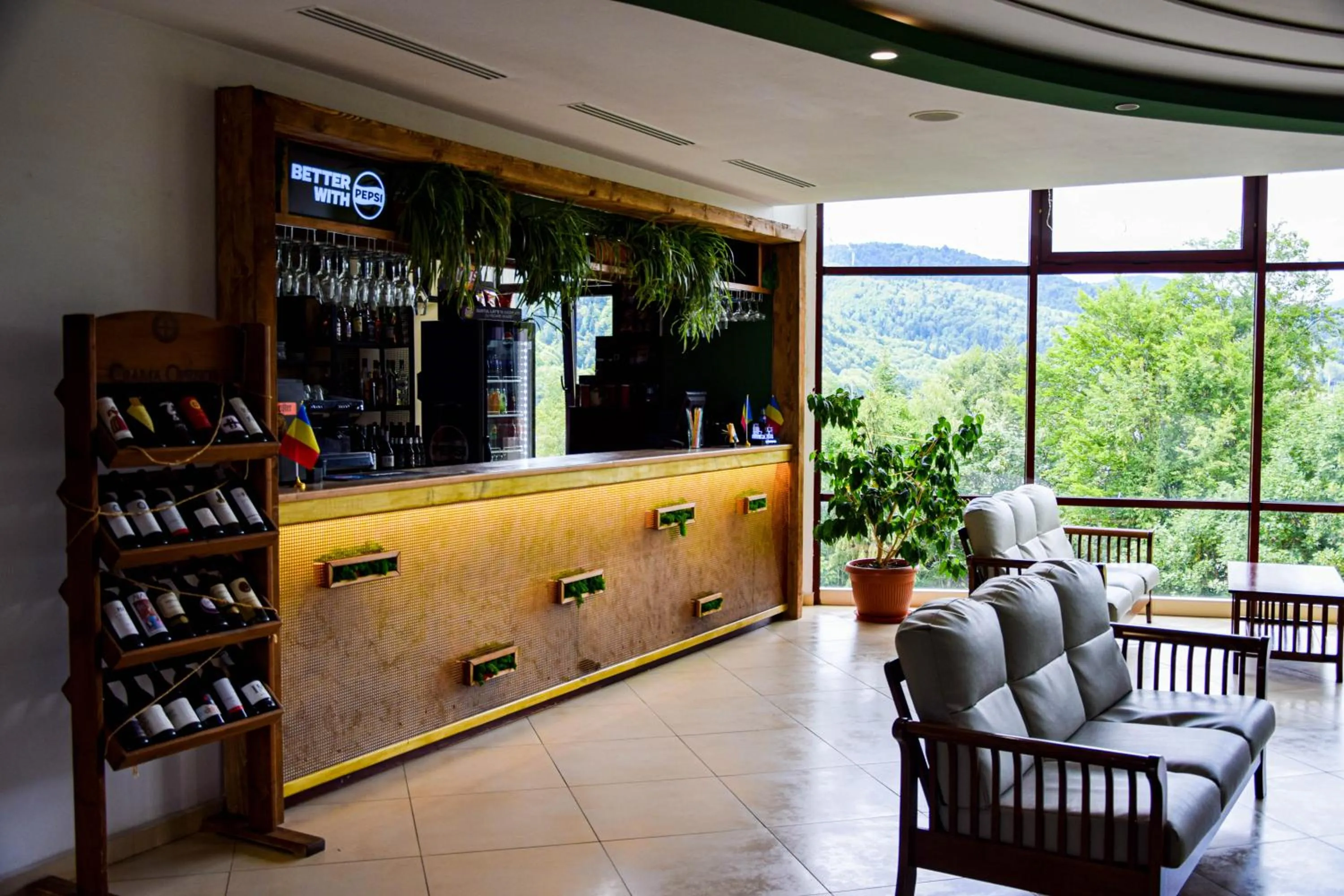 Lounge or bar in Hotel Valea cu Pesti