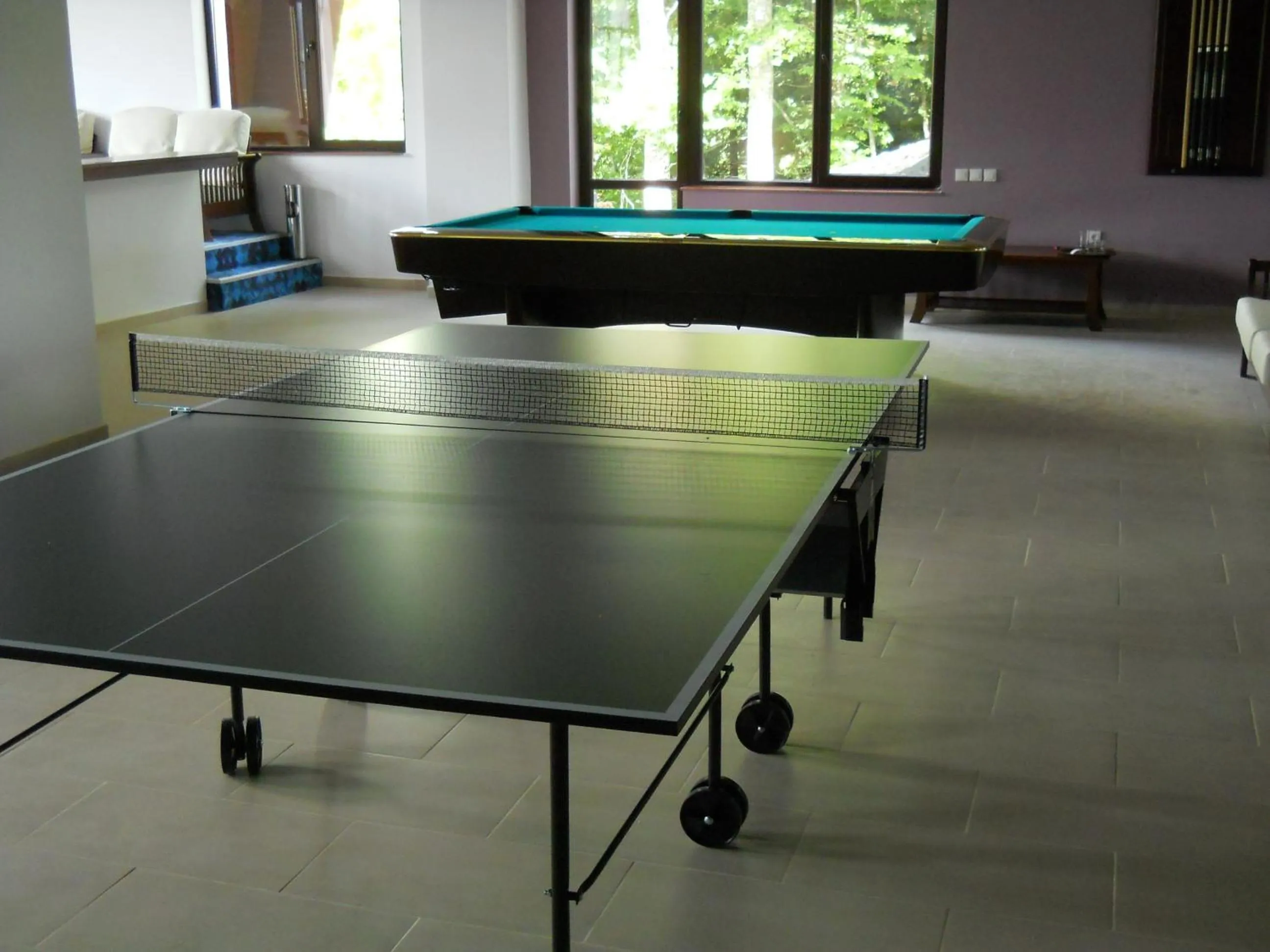 Billiard in Hotel Valea cu Pesti