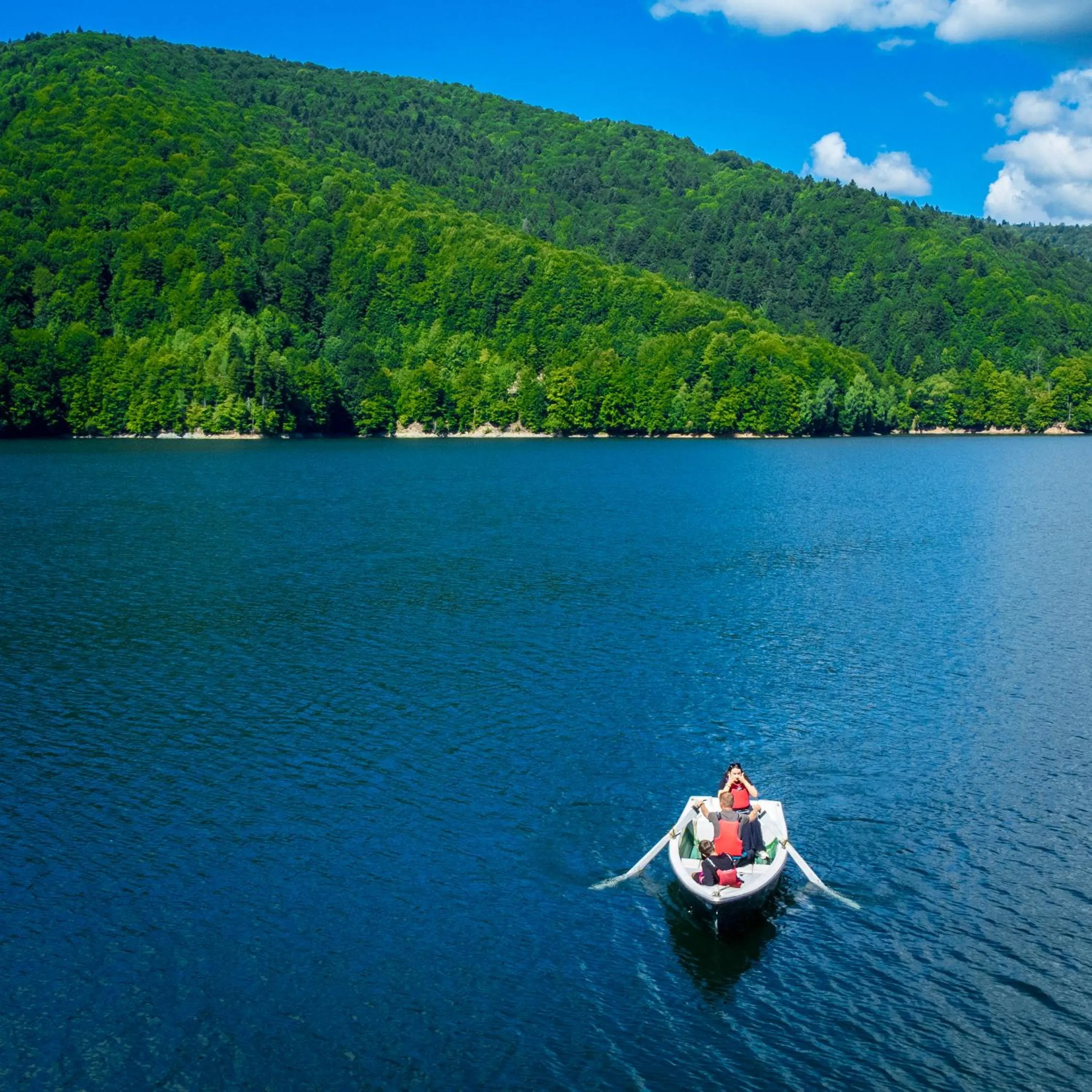Natural landscape in Hotel Valea cu Pesti