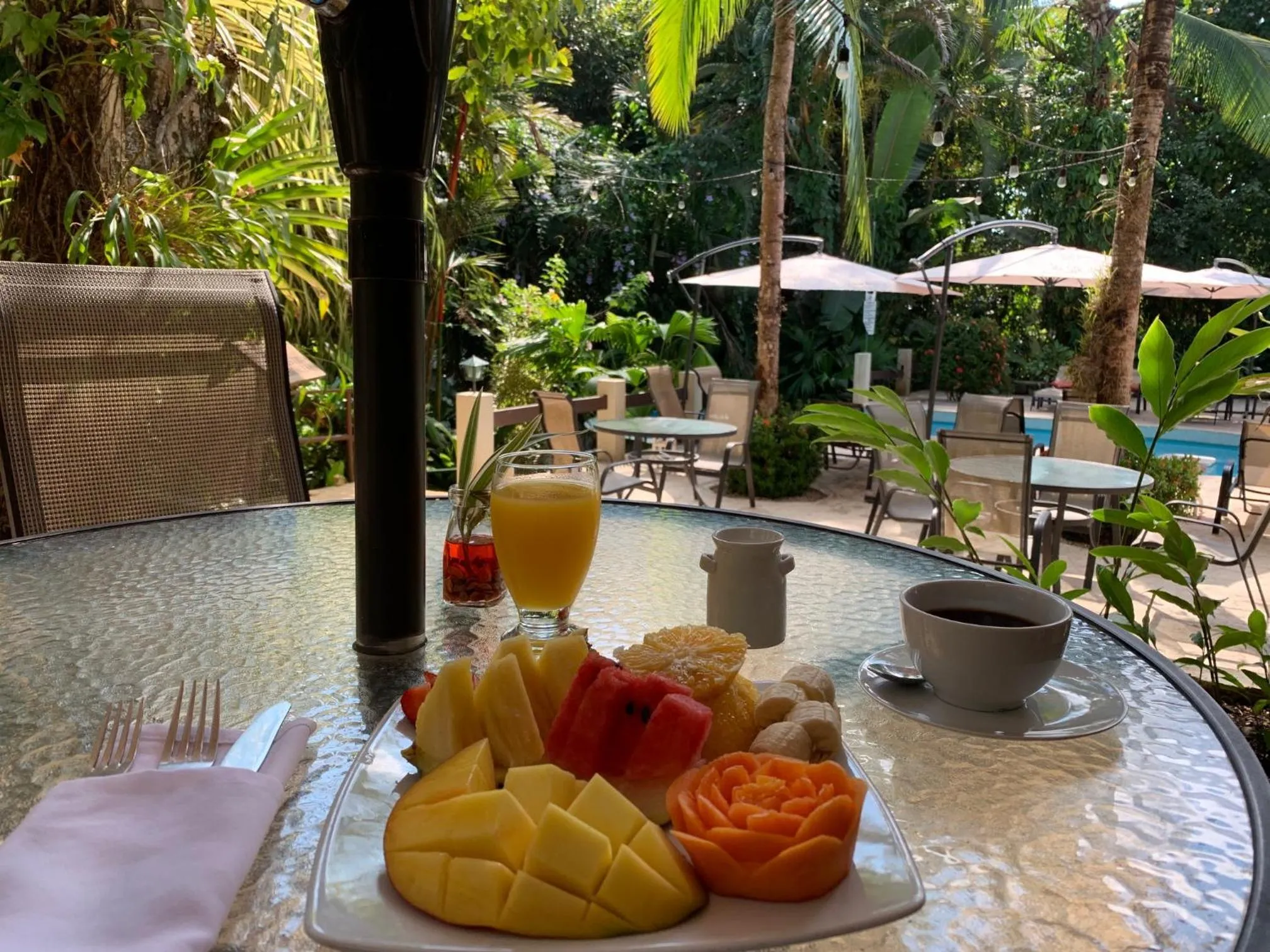 Breakfast in The Falls at Manuel Antonio